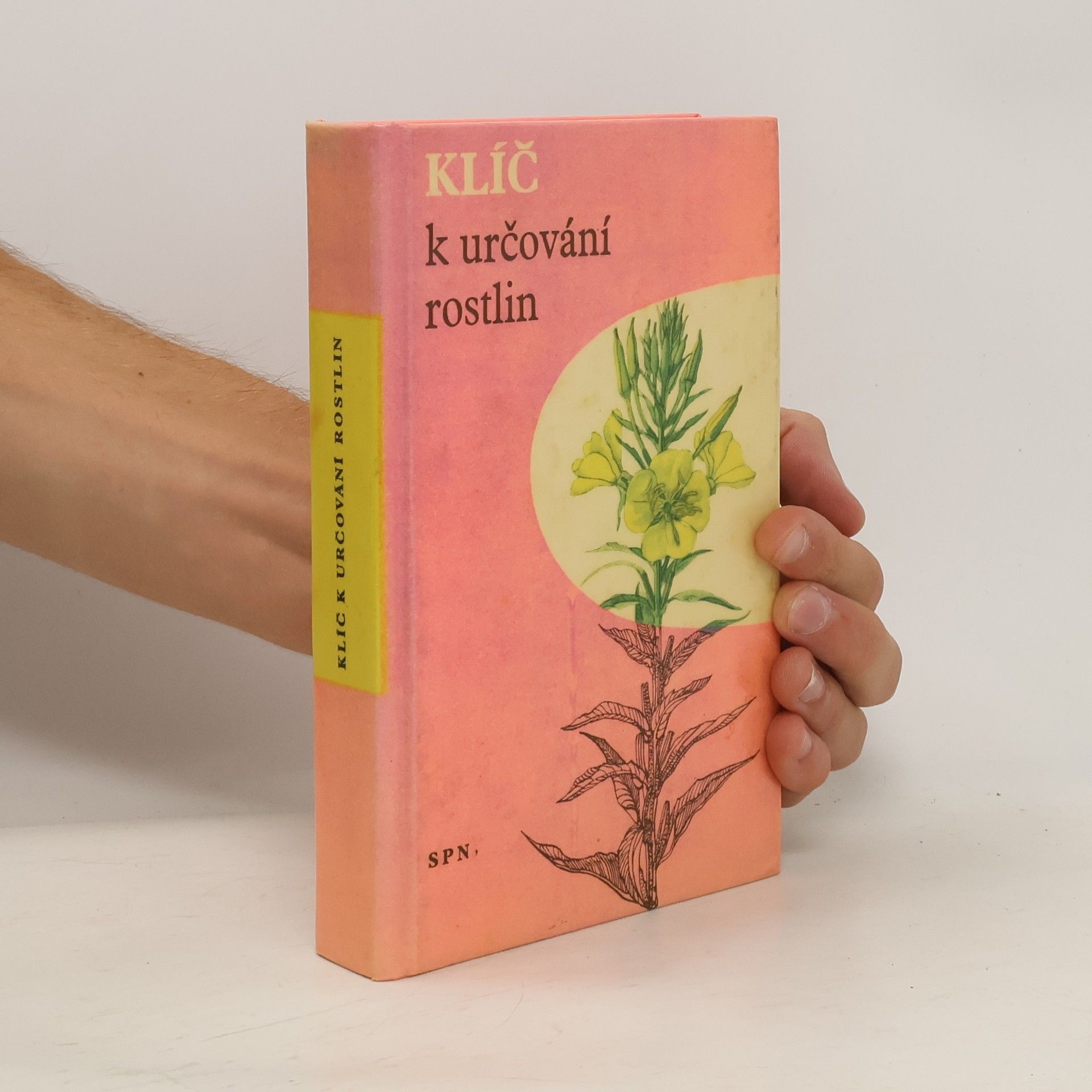 Autorenkollektiv Klíč k určování rostlin