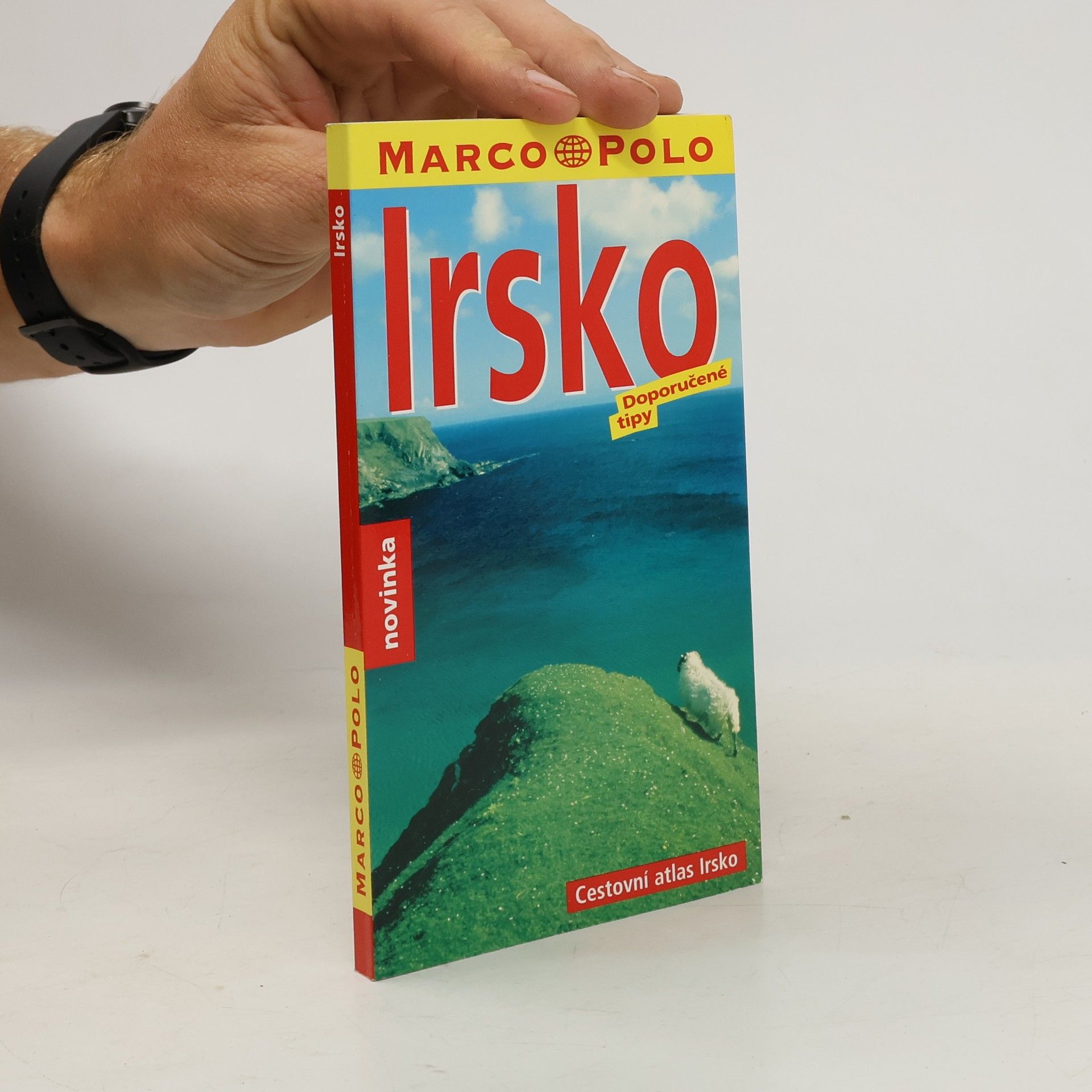 Manfred Wöbcke Irsko