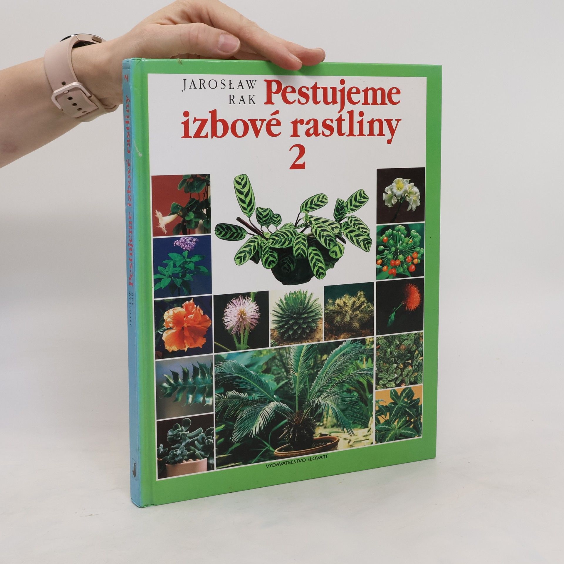 Jarosław Rak Pestujeme izbové rastliny 2