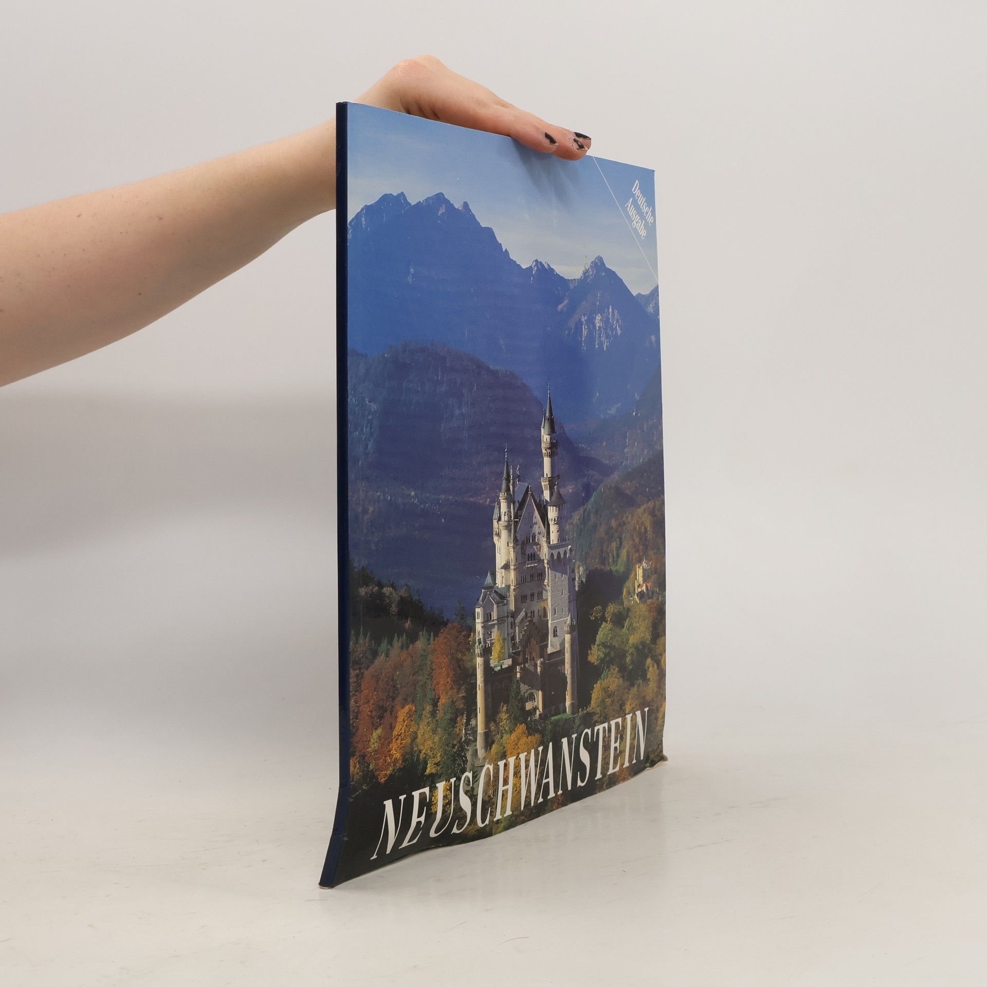 Michael Petzet König Ludwig II. von Bayern und Neuschwanstein