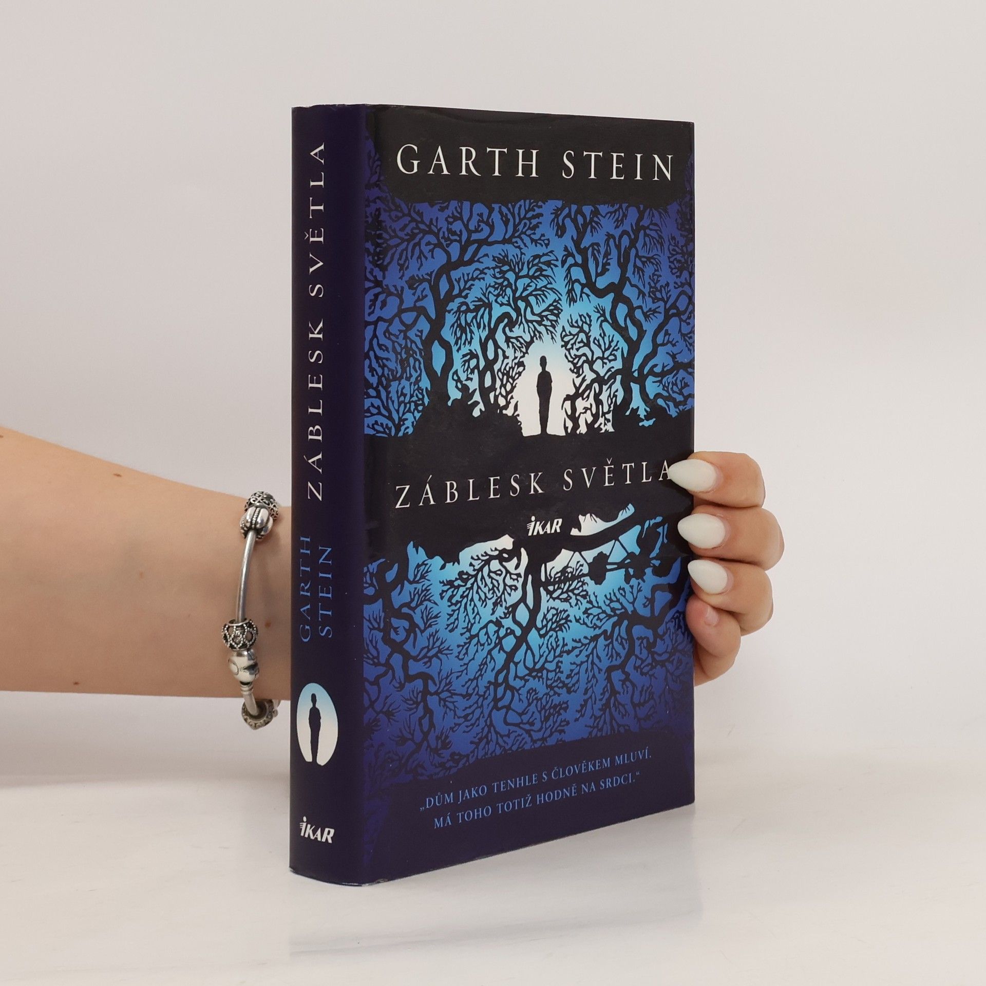 Garth Stein Záblesk světla