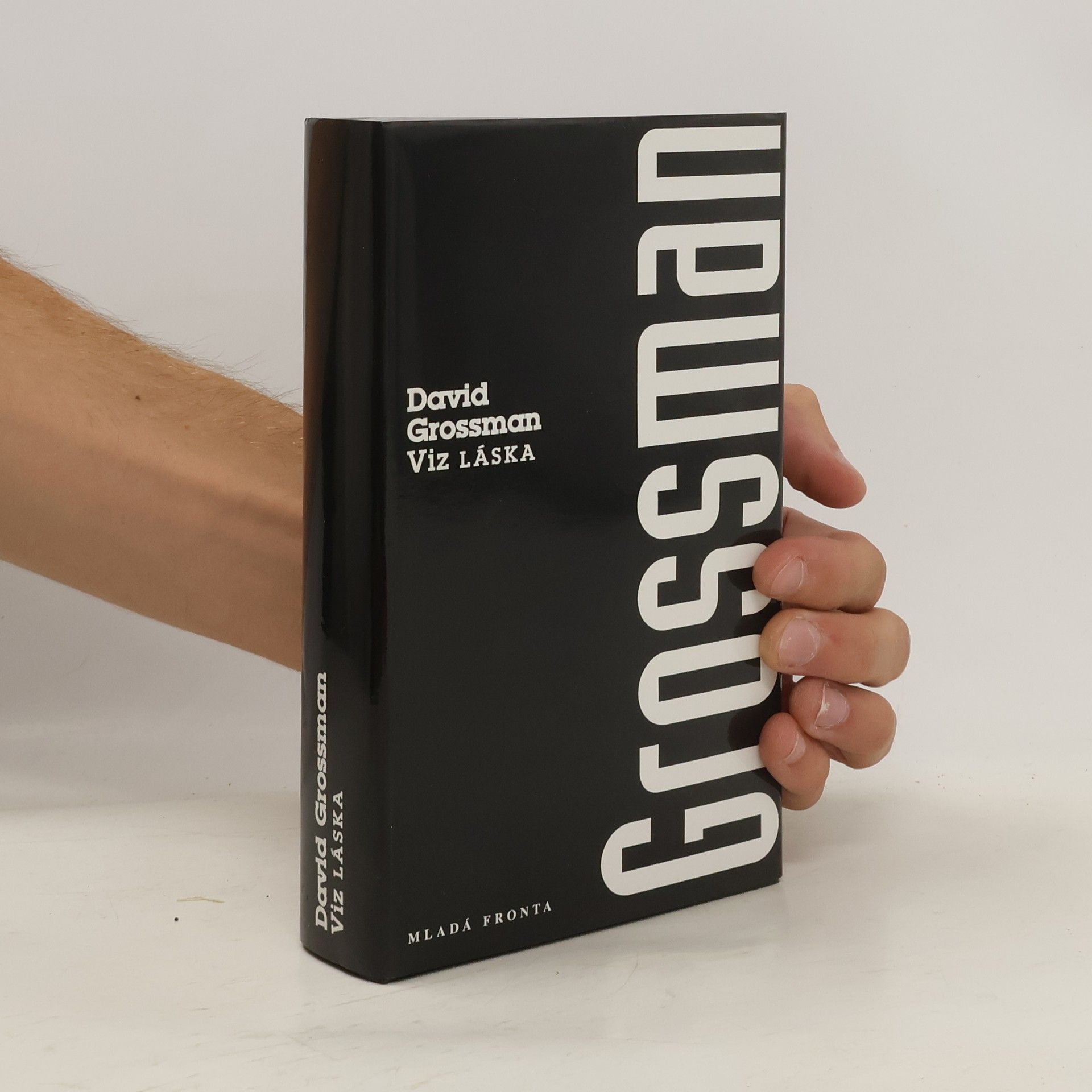 David Grossman Viz LÁSKA
