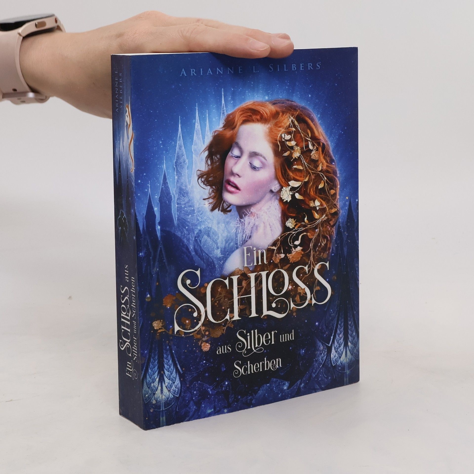 Arianne L. Silbers Ein Schloss aus Silber und Scherben