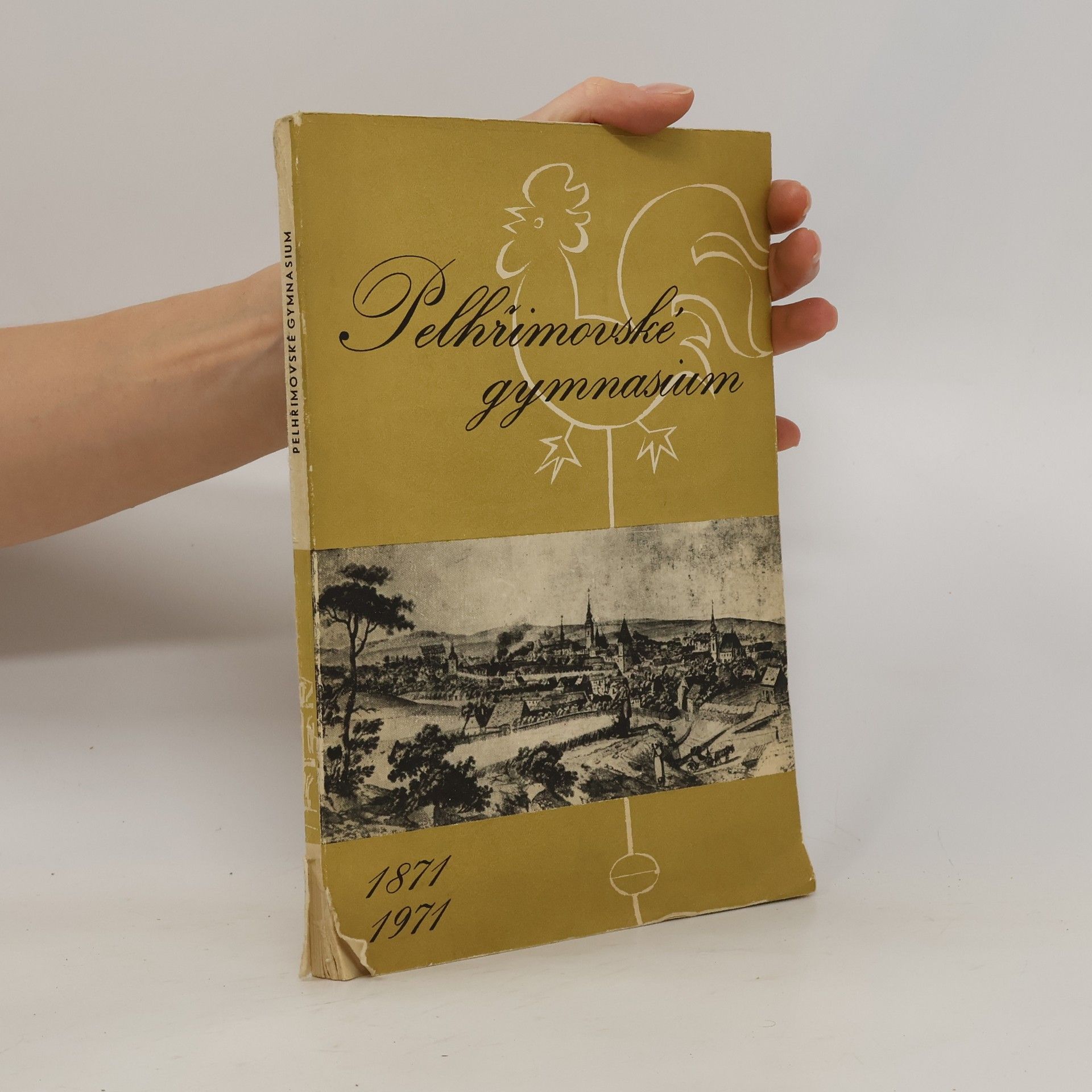 Autores varios Pelhřimovské gymnasium 1871 1971