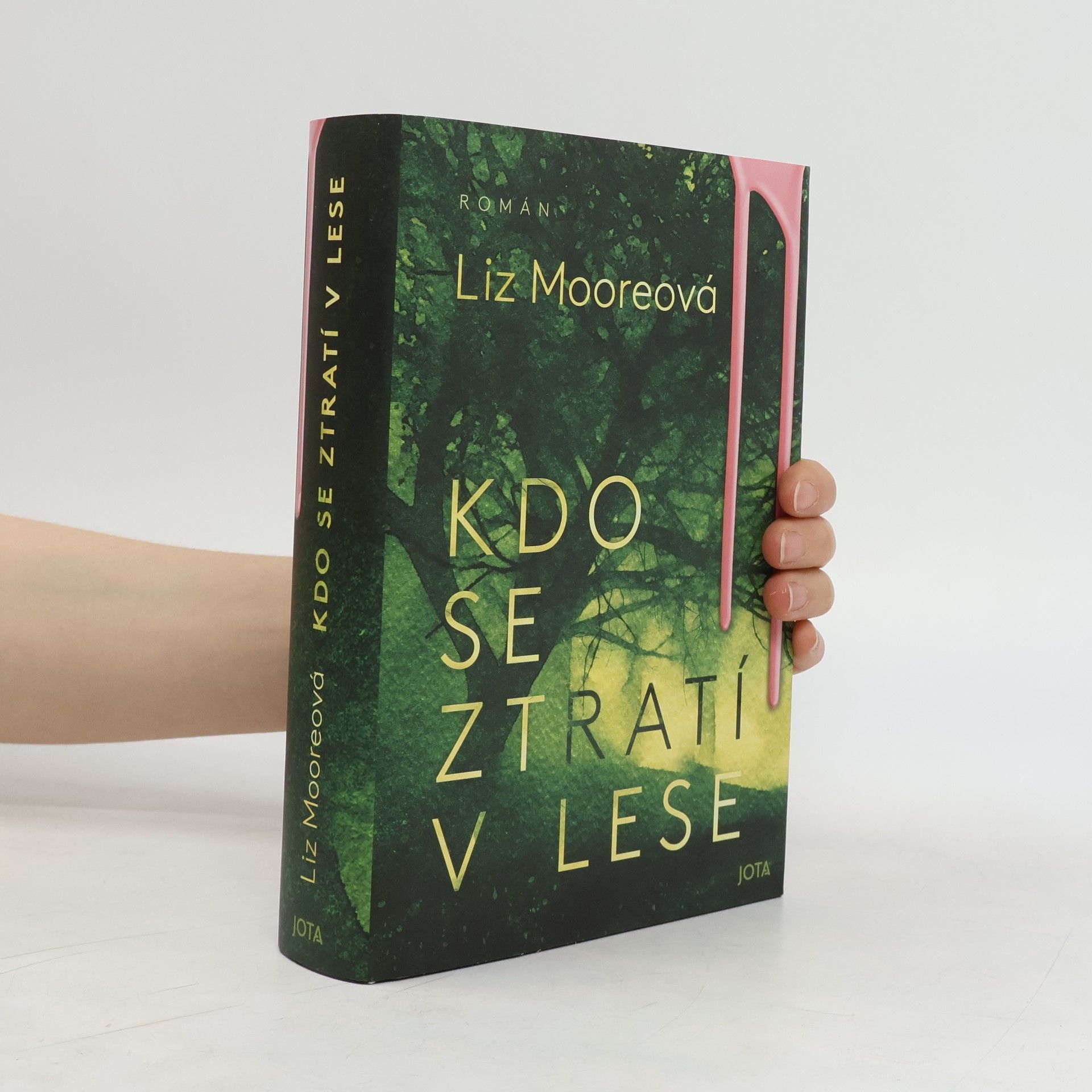 Liz Moore Kdo se ztratí v lese