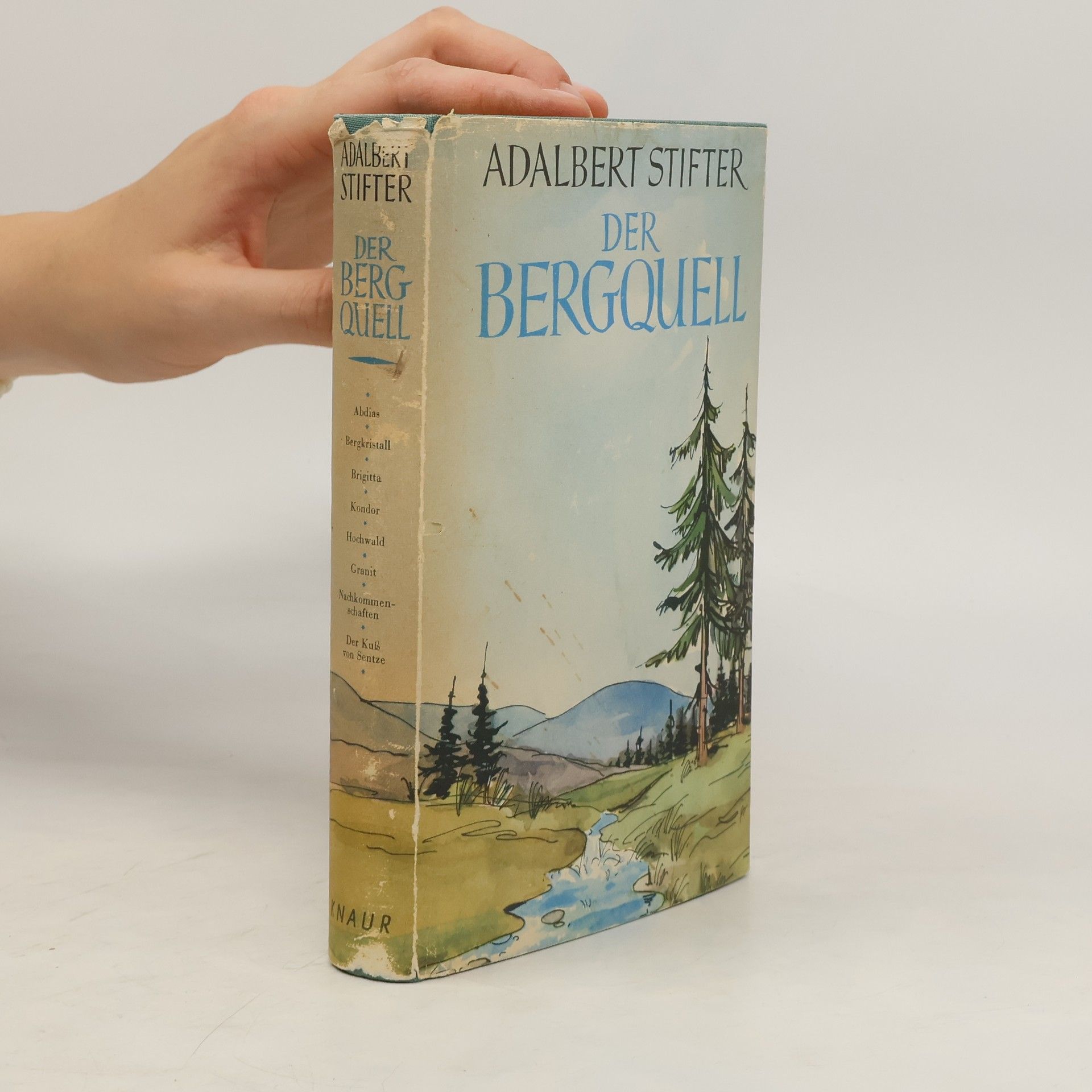 Adalbert Stifter Der Bergquell