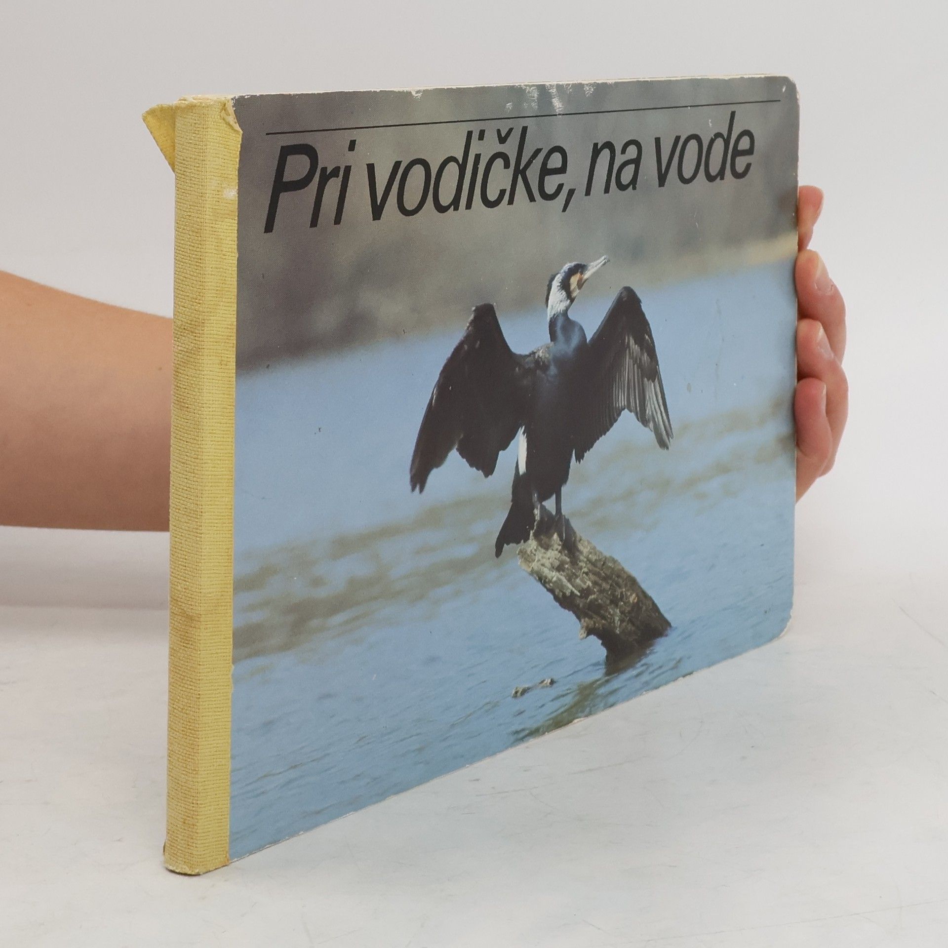 AA.VV. Pri vodičke, na vode