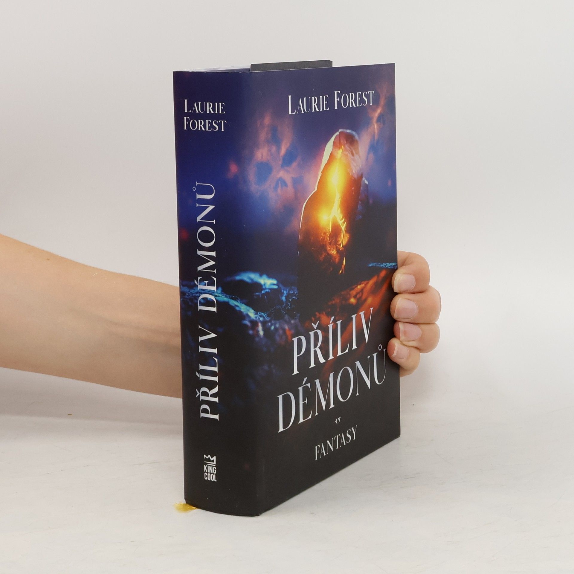 Laurie Forest Příliv démonů