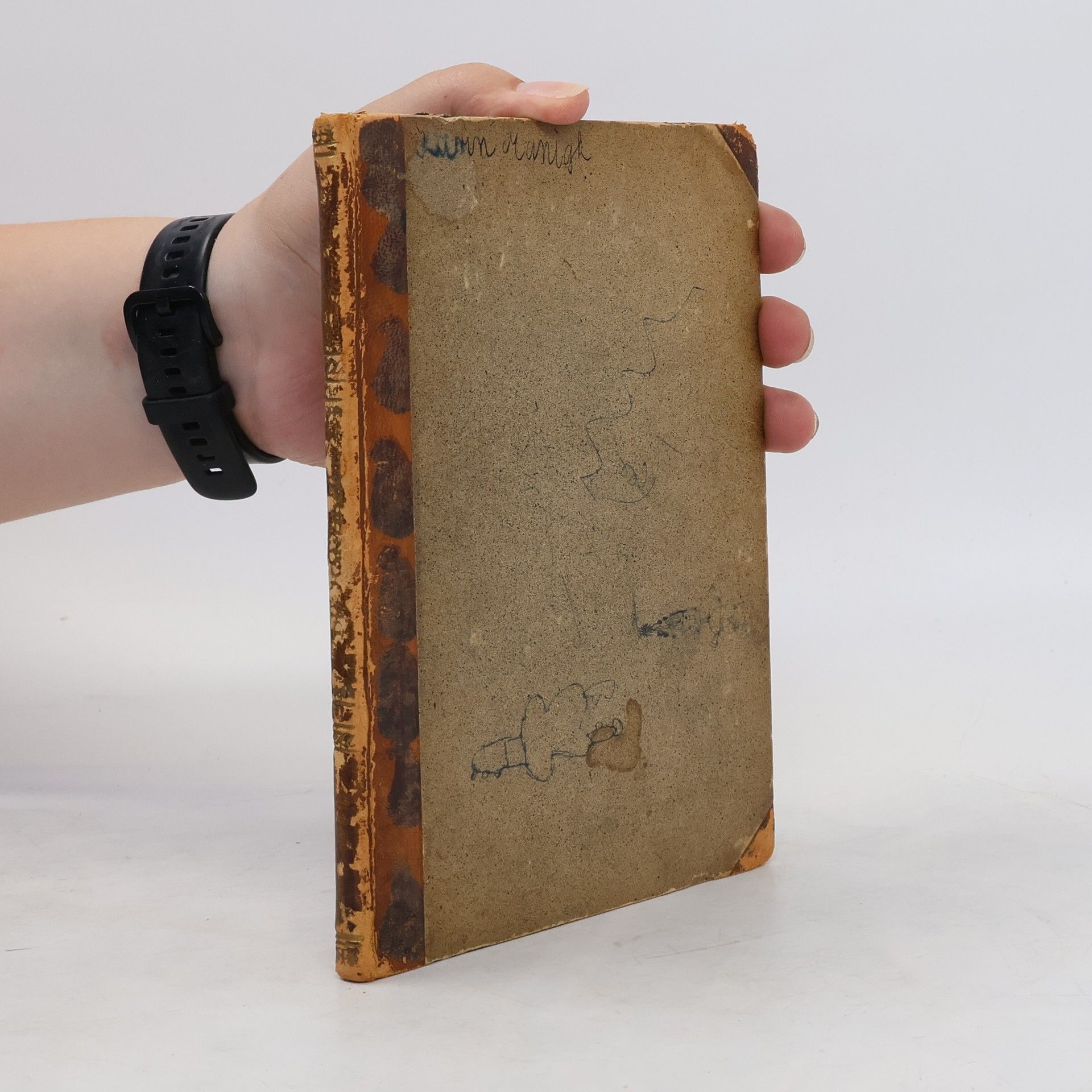 Autorenkollektiv Die Kater-Thesen