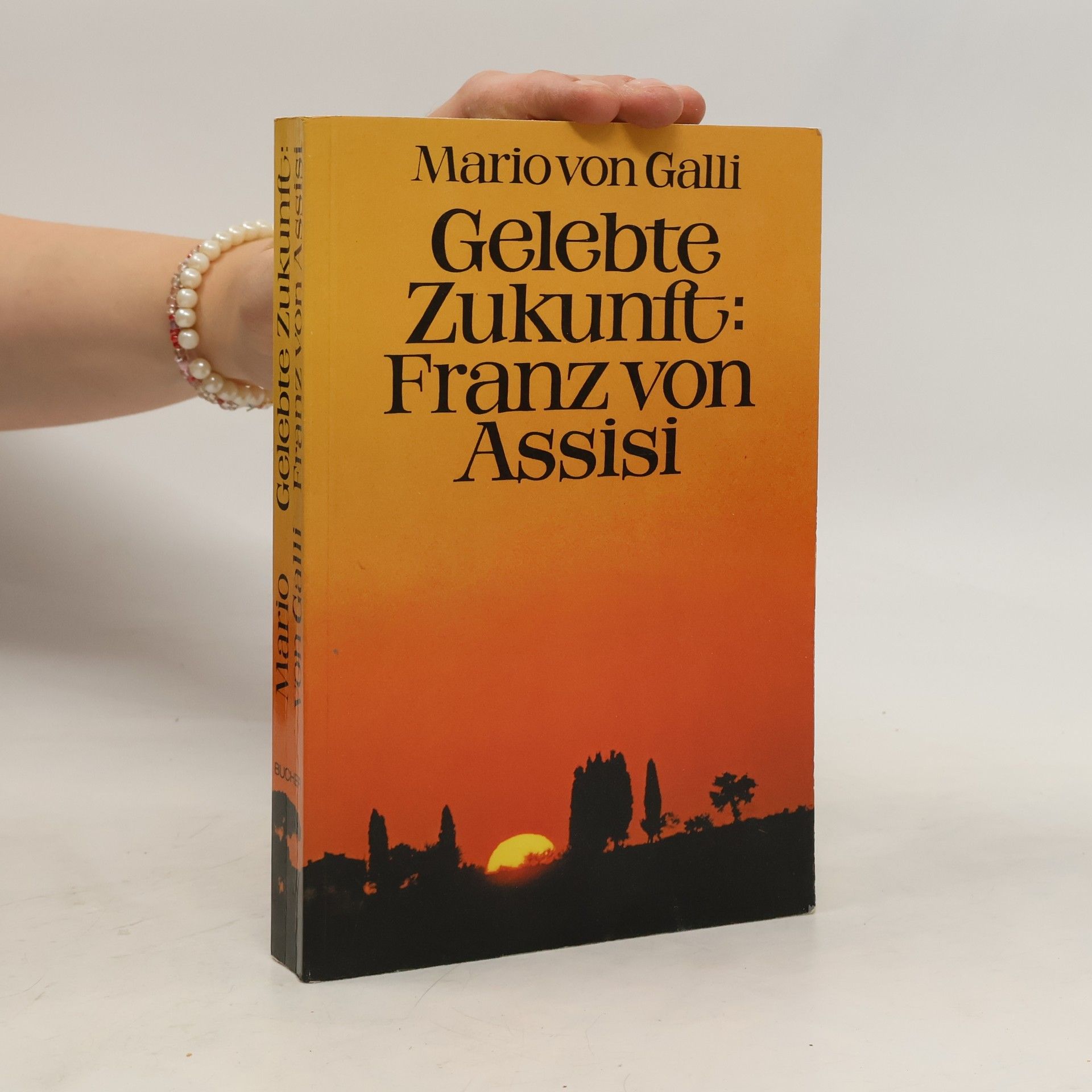 Mario von Galli Gelebte Zukunft. Franz von Assisi