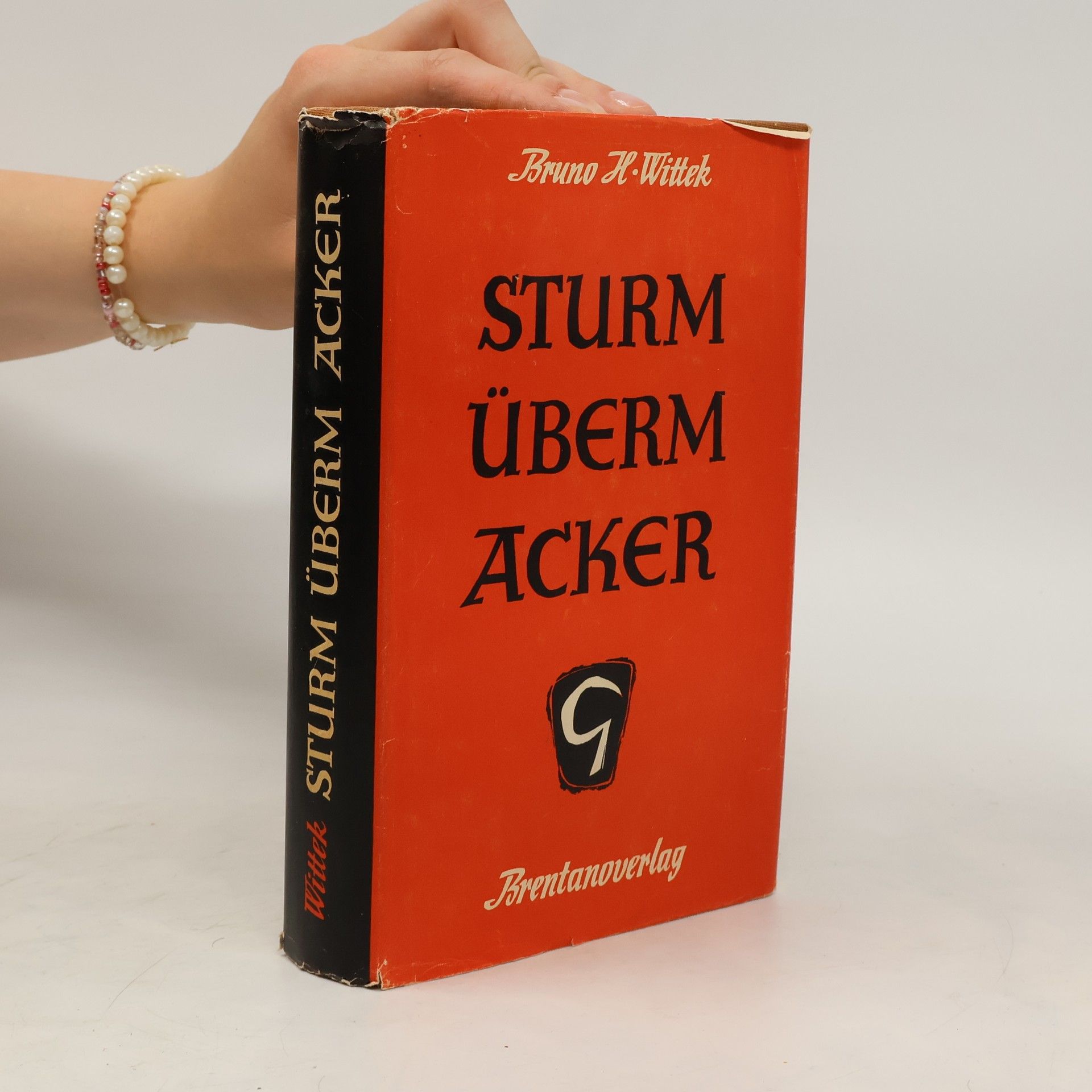 Bruno H. Wittek Sturm überm Ackel
