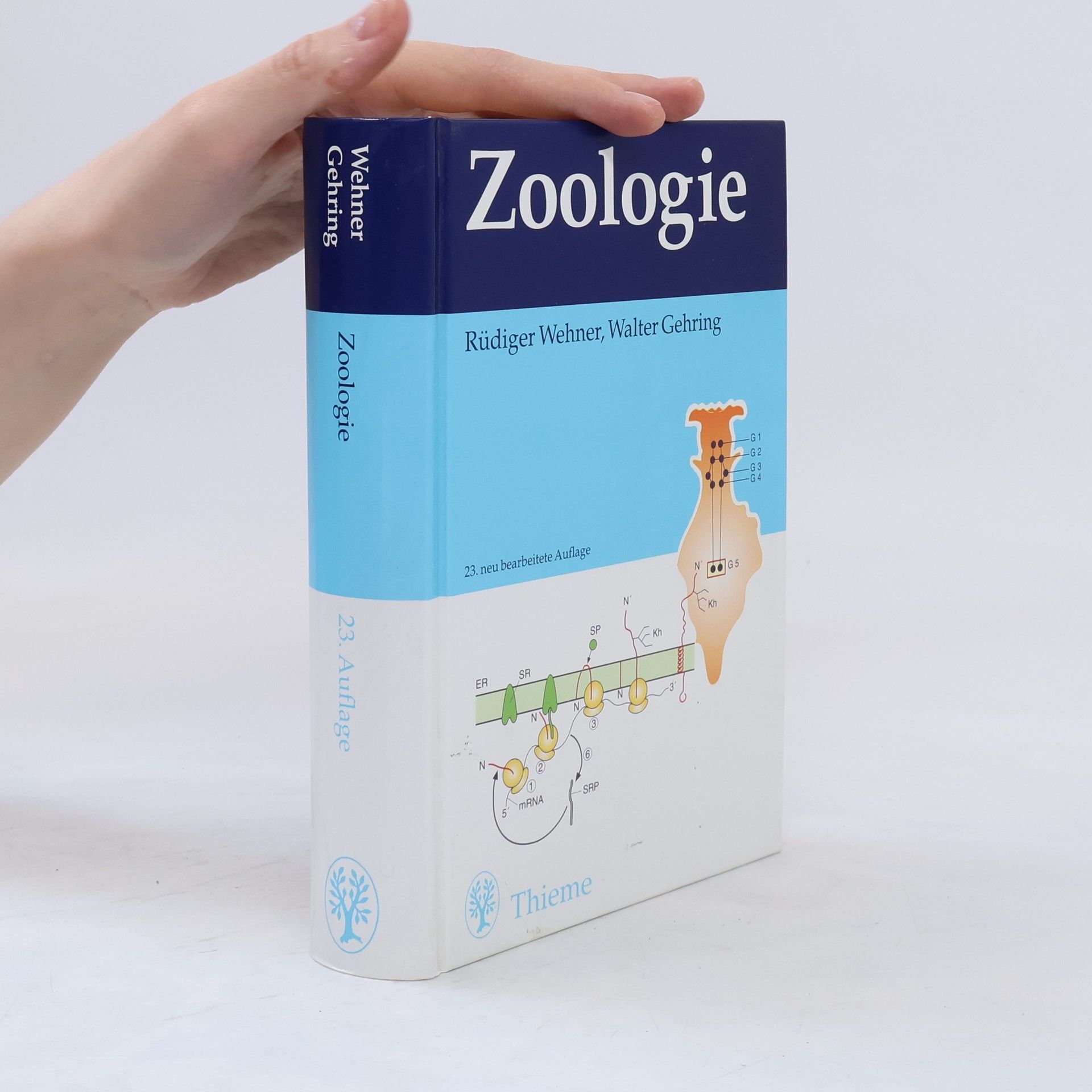 Walter Gehring Zoologie