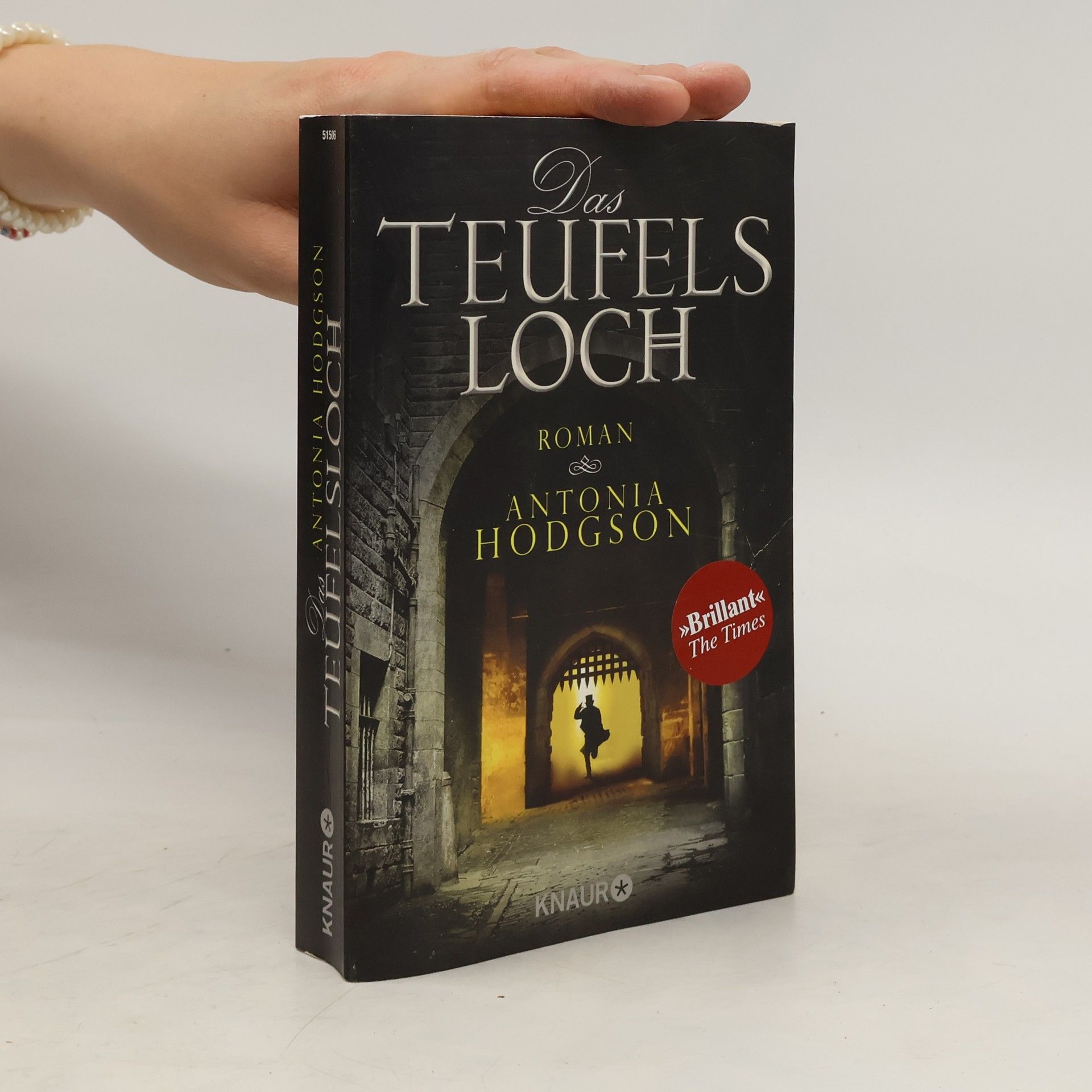 Antonia Hodgson Das Teufelsloch