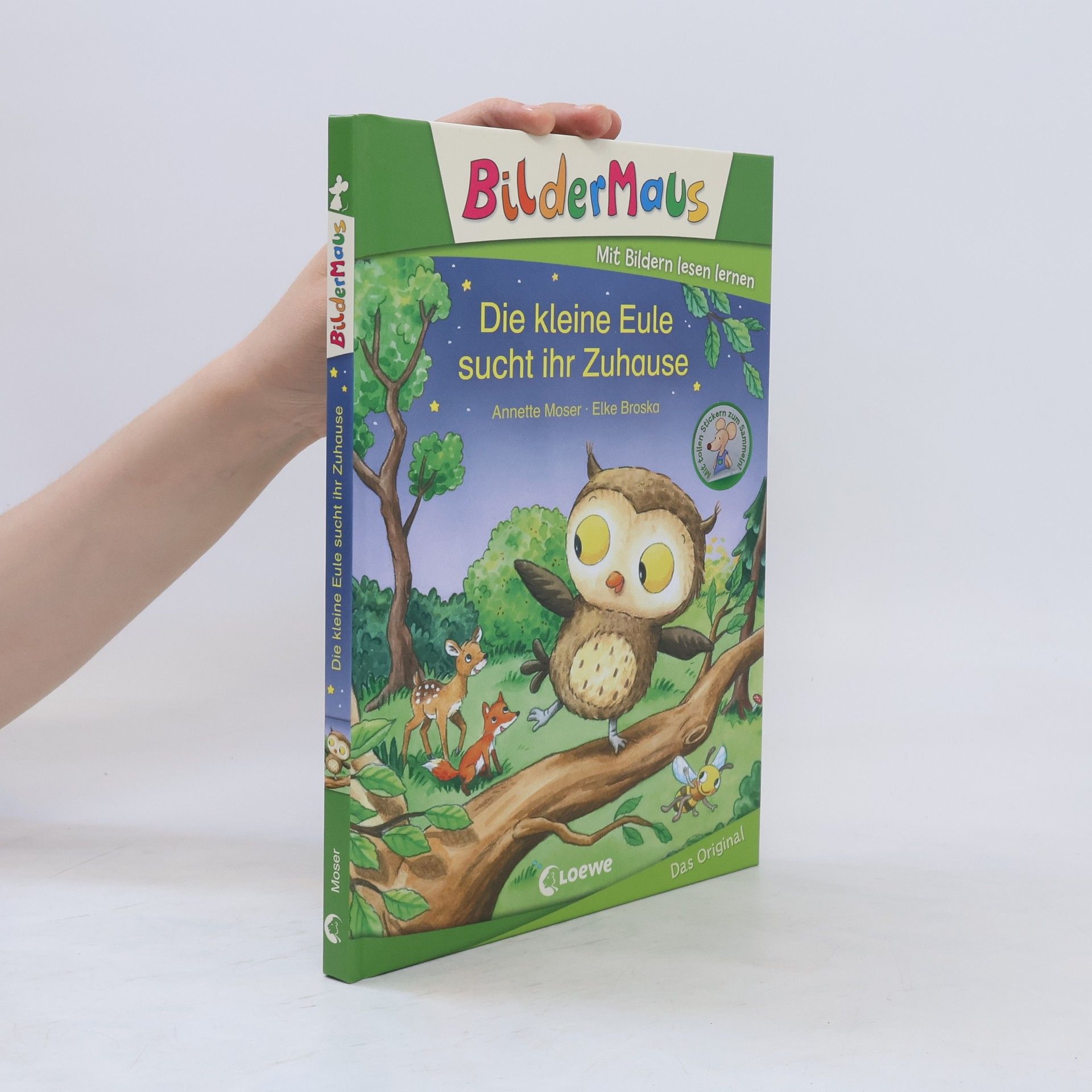 Annette Moser Die kleine Eule sucht ihr Zuhause