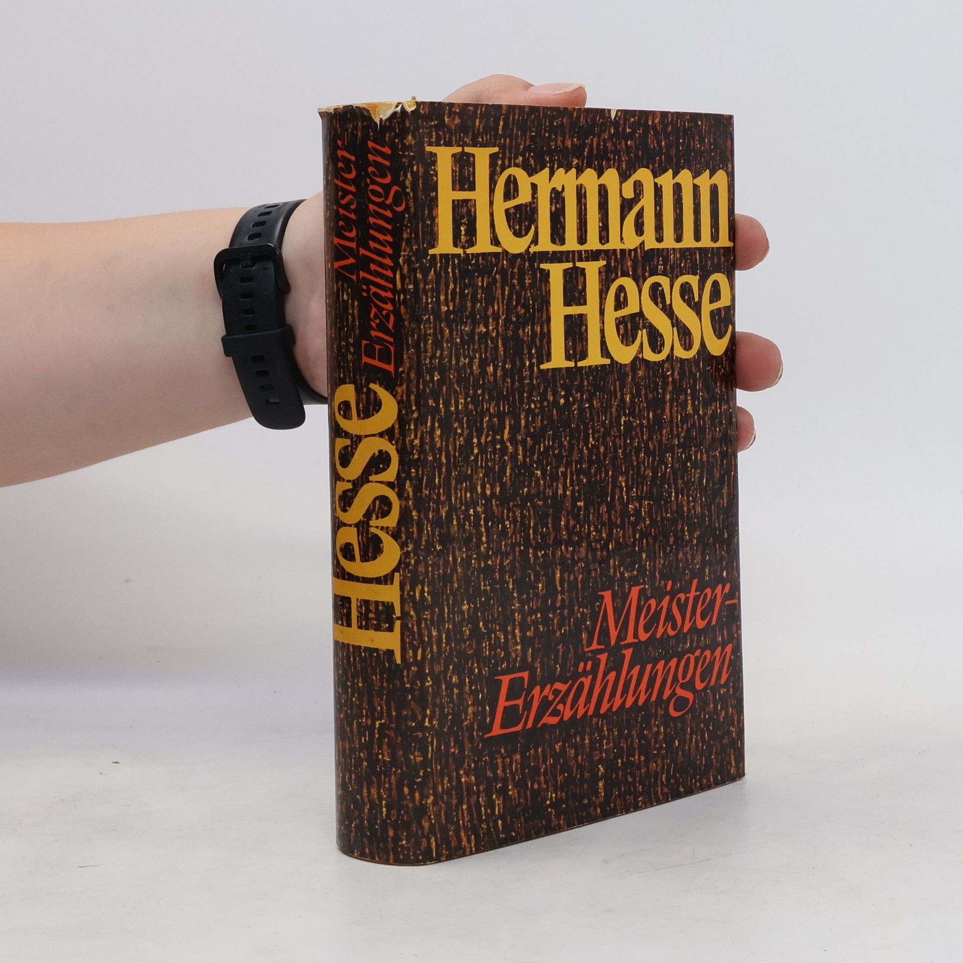 Hermann Hesse Meister Erzählungen