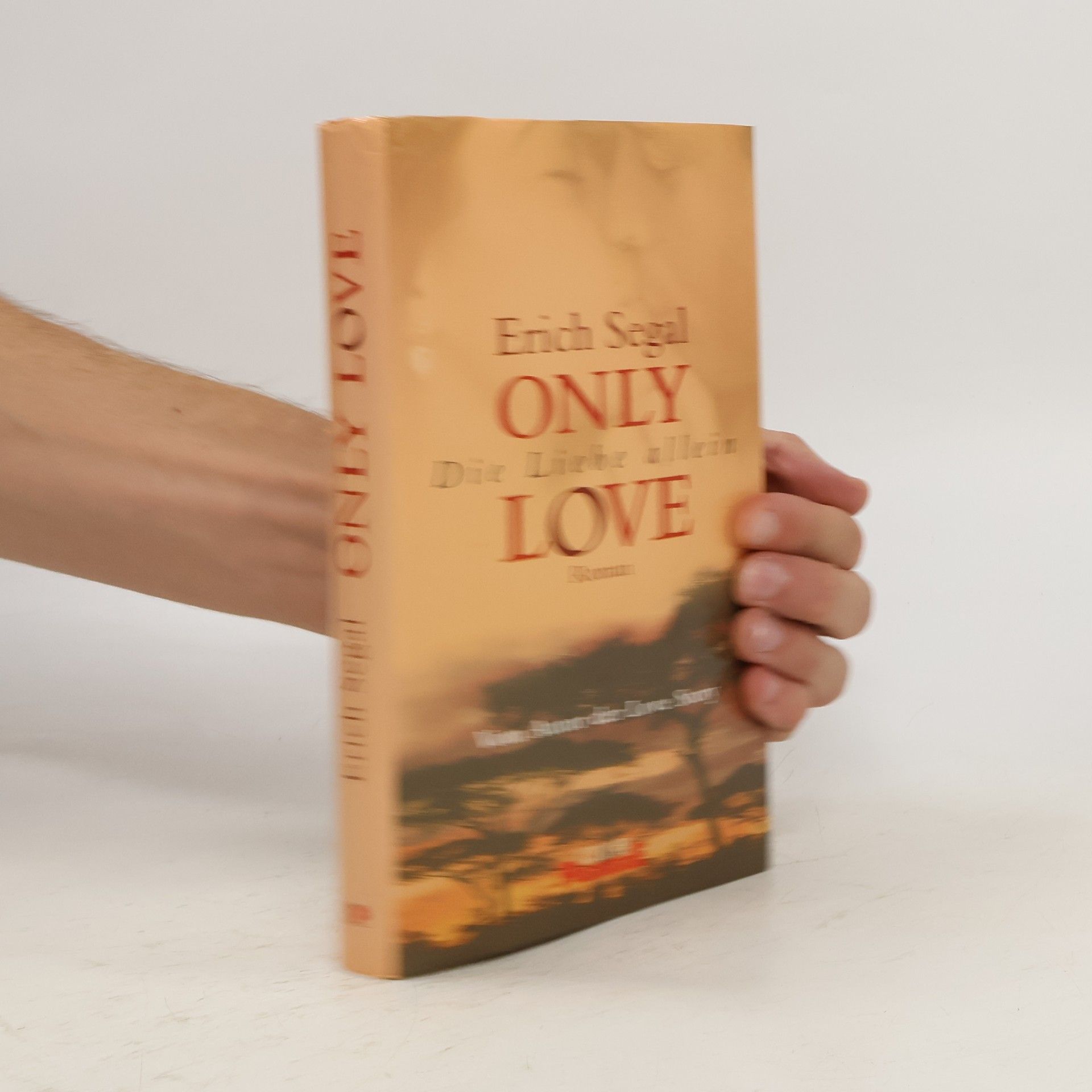 Erich Segal Only Love