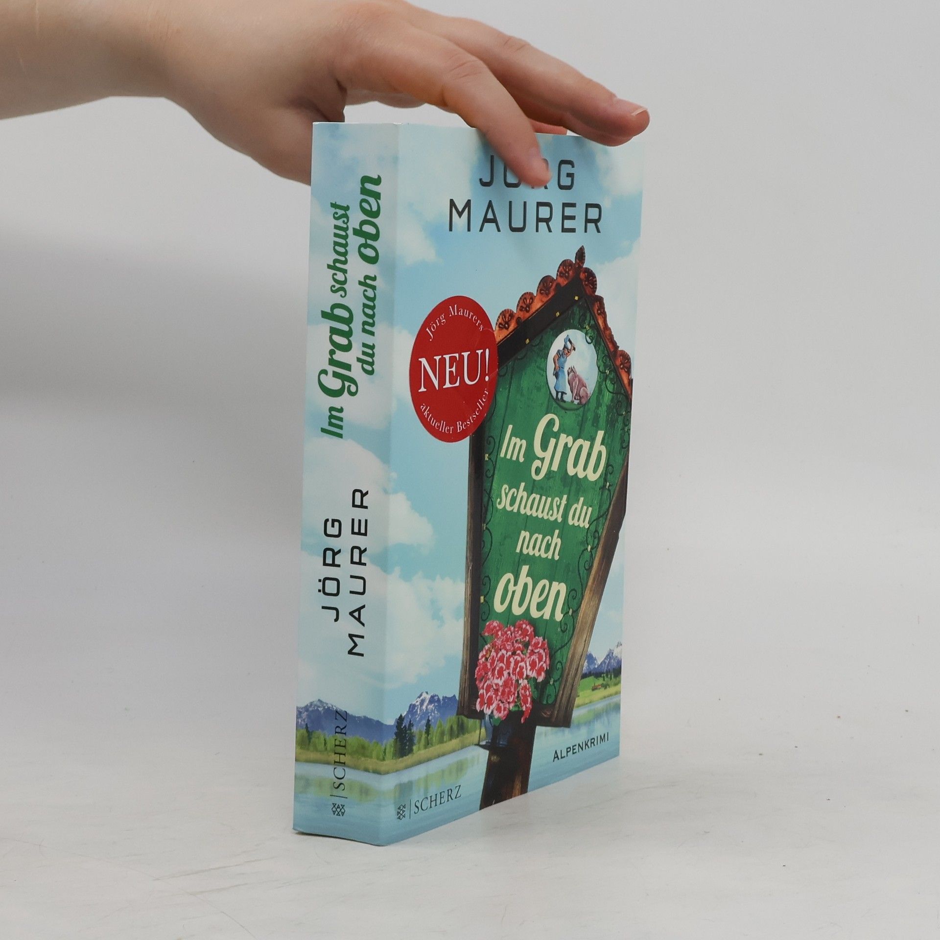 Jörg Maurer Im Grab schaust du nach oben