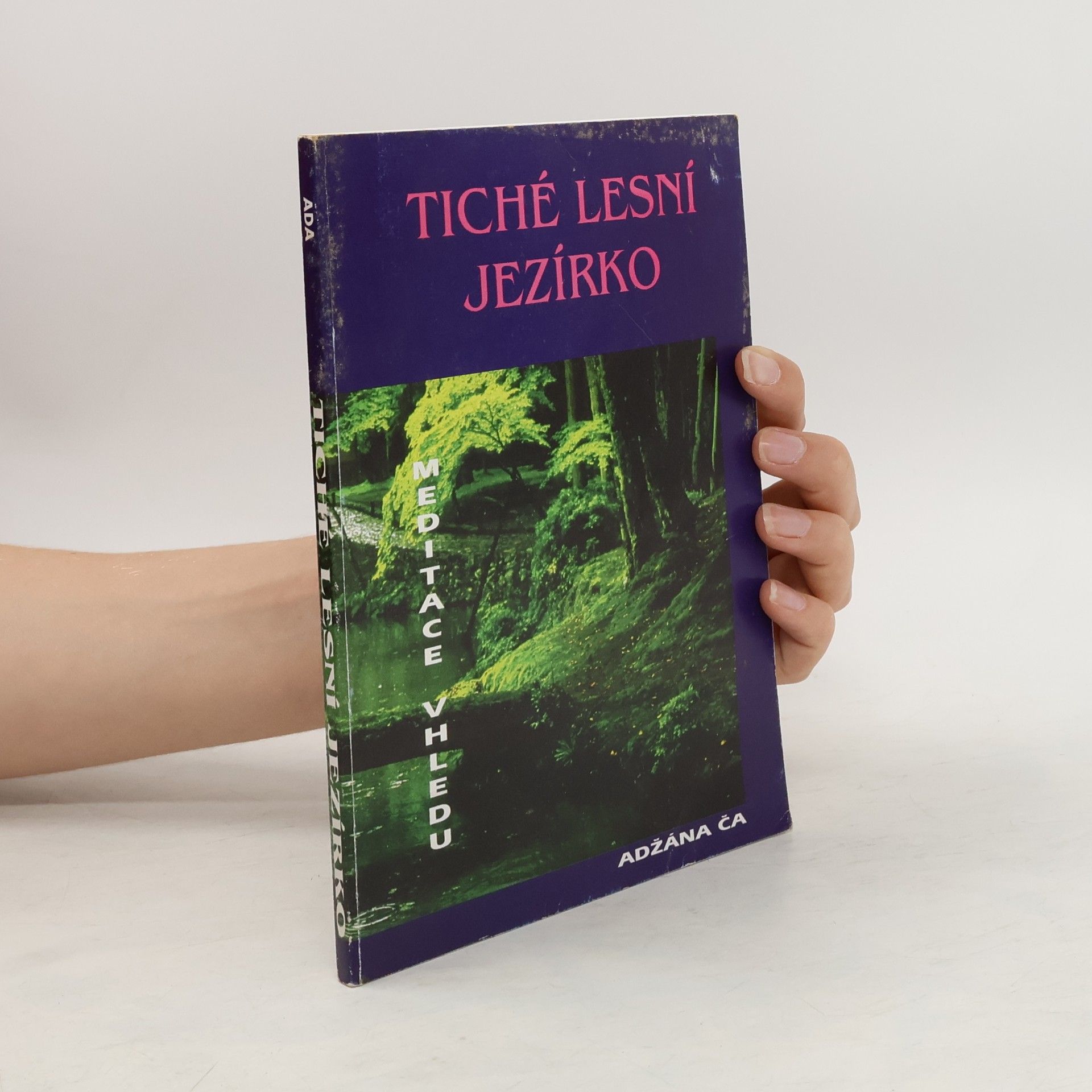 Adžán Čá Tiché lesní jezírko. Meditace vhledu učitele Adžána Ča