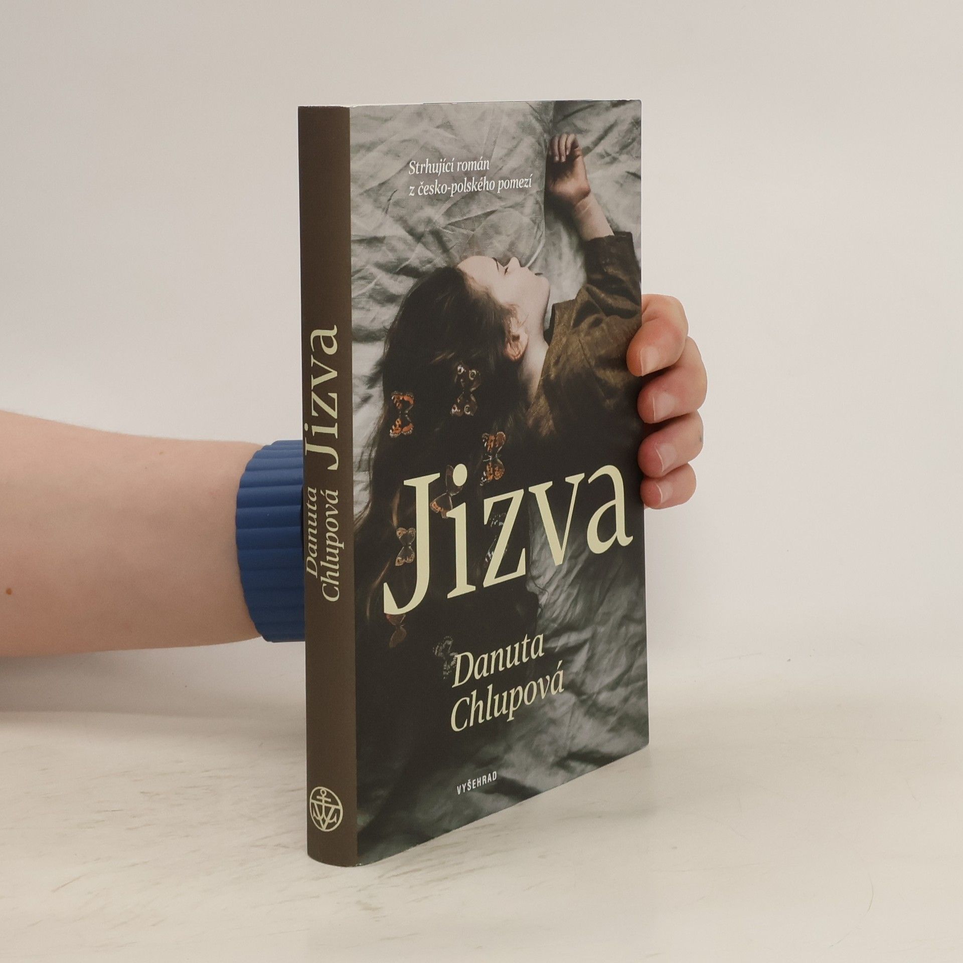 Danuta Chlupová Jizva