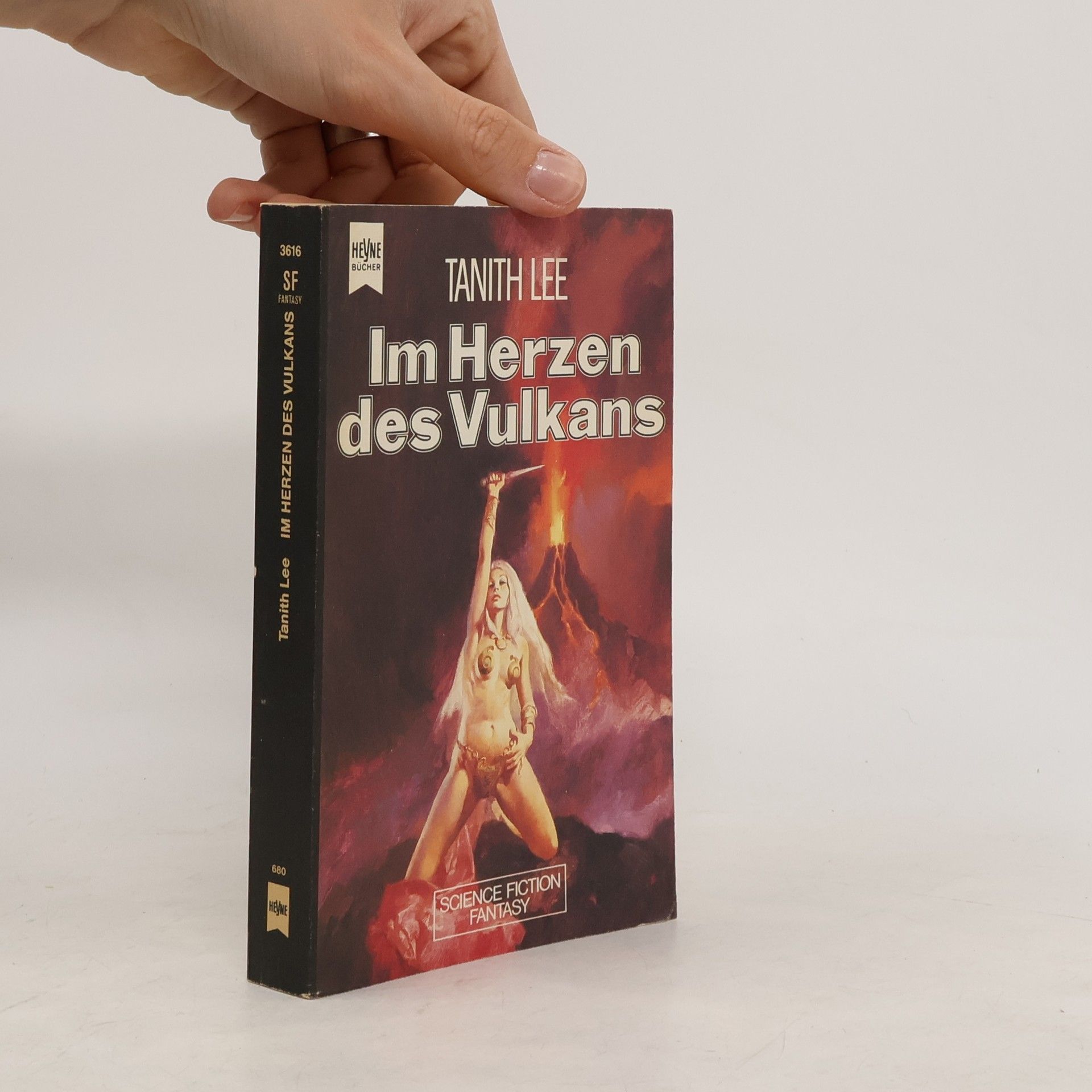 Tanith Lee Im Herzen des Vulkans.