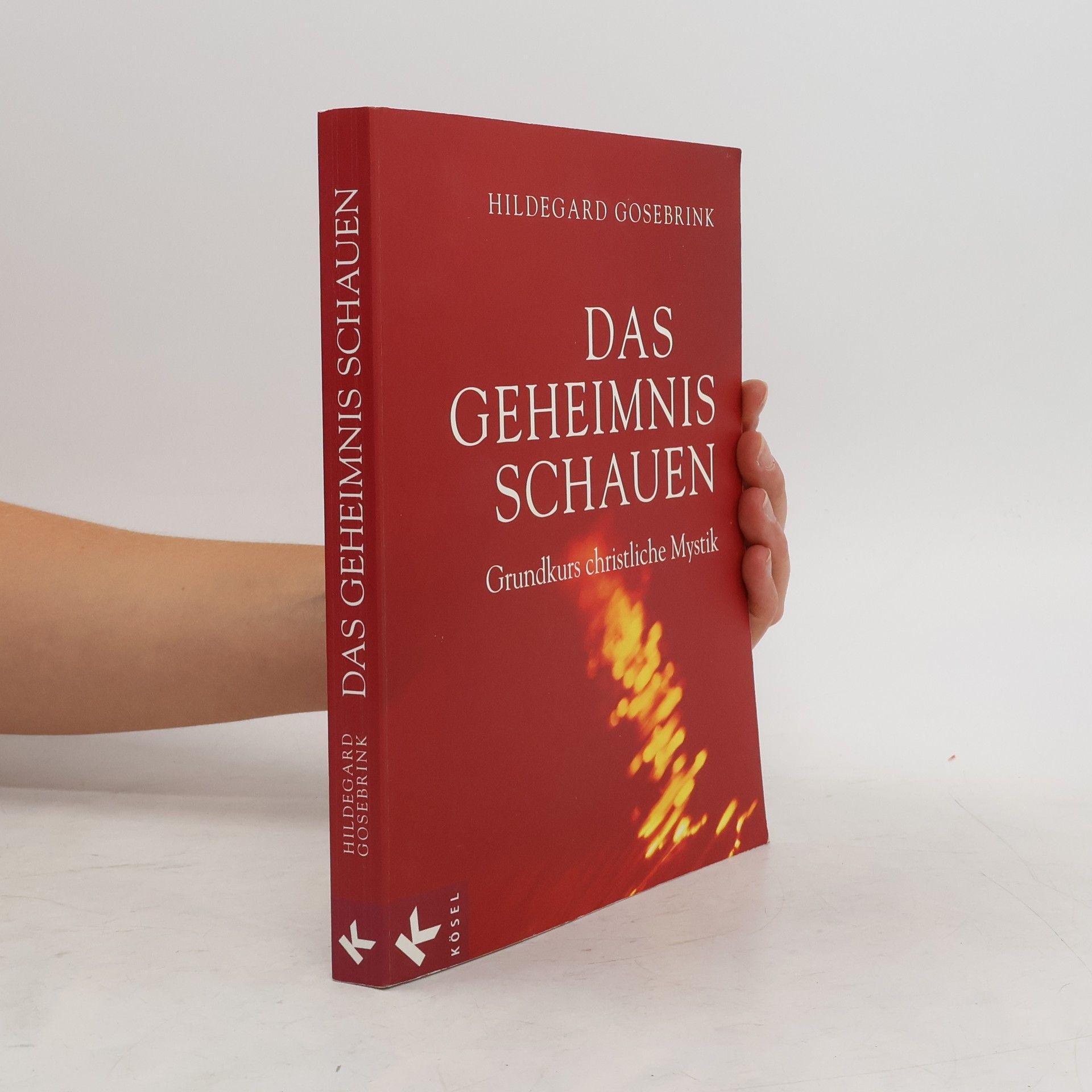 Hildegard Gosebrink Das Geheimnis schauen. Grundkurs christliche Mystik