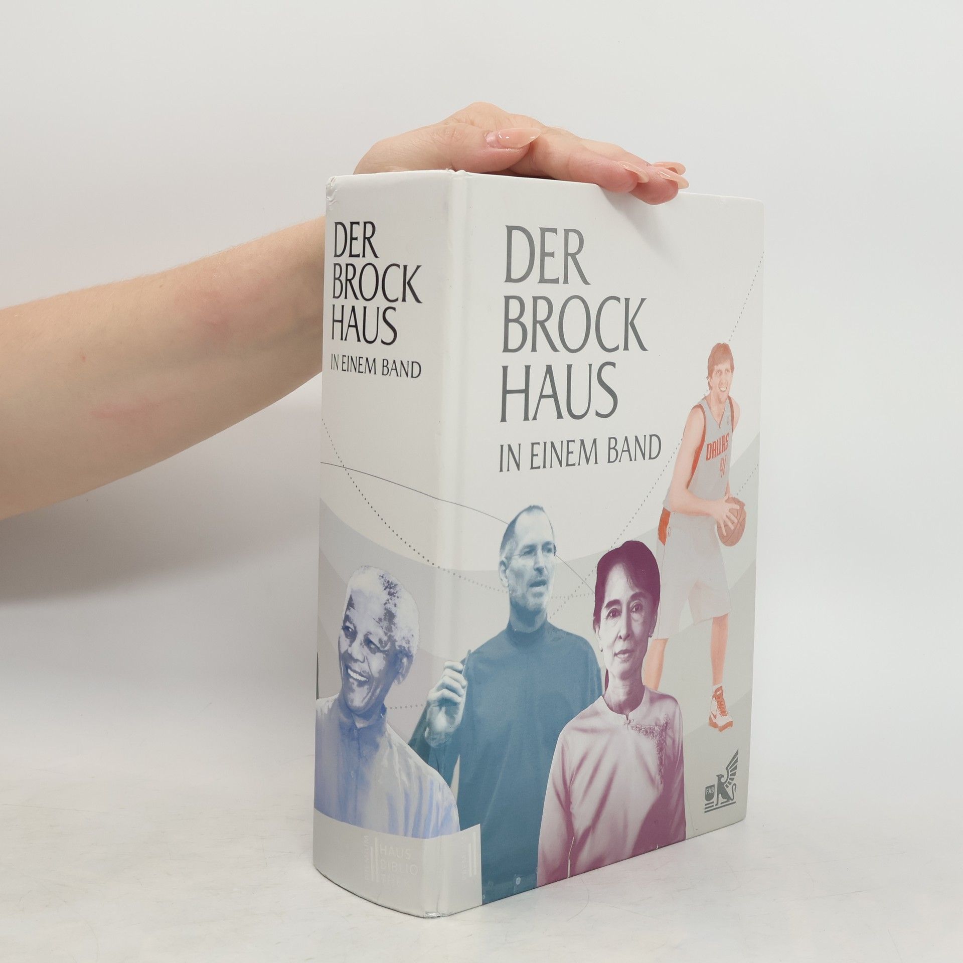 Ulrike Hönsch Der Brockhaus in einem Band