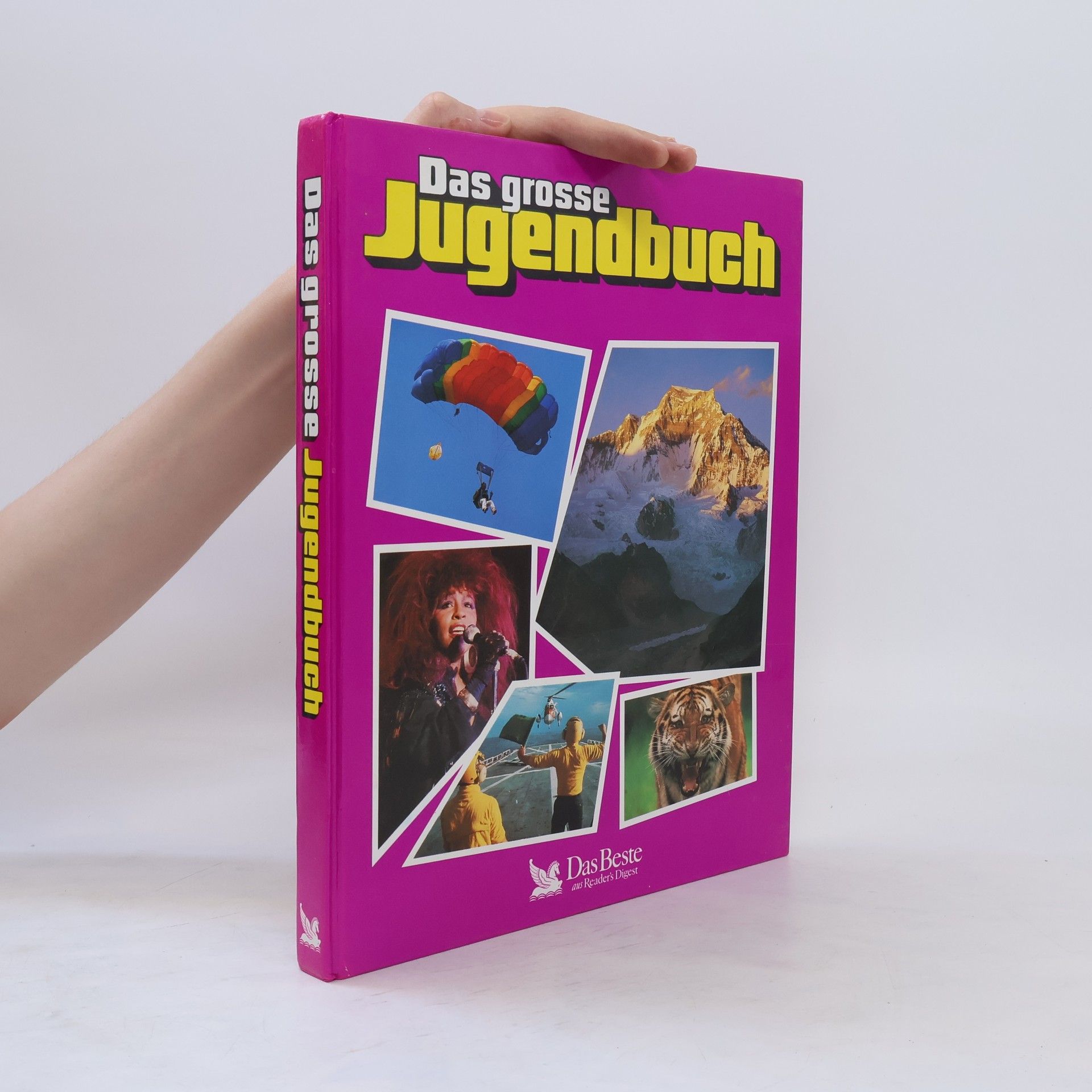 Autorenkollektiv Das große Jugendbuch