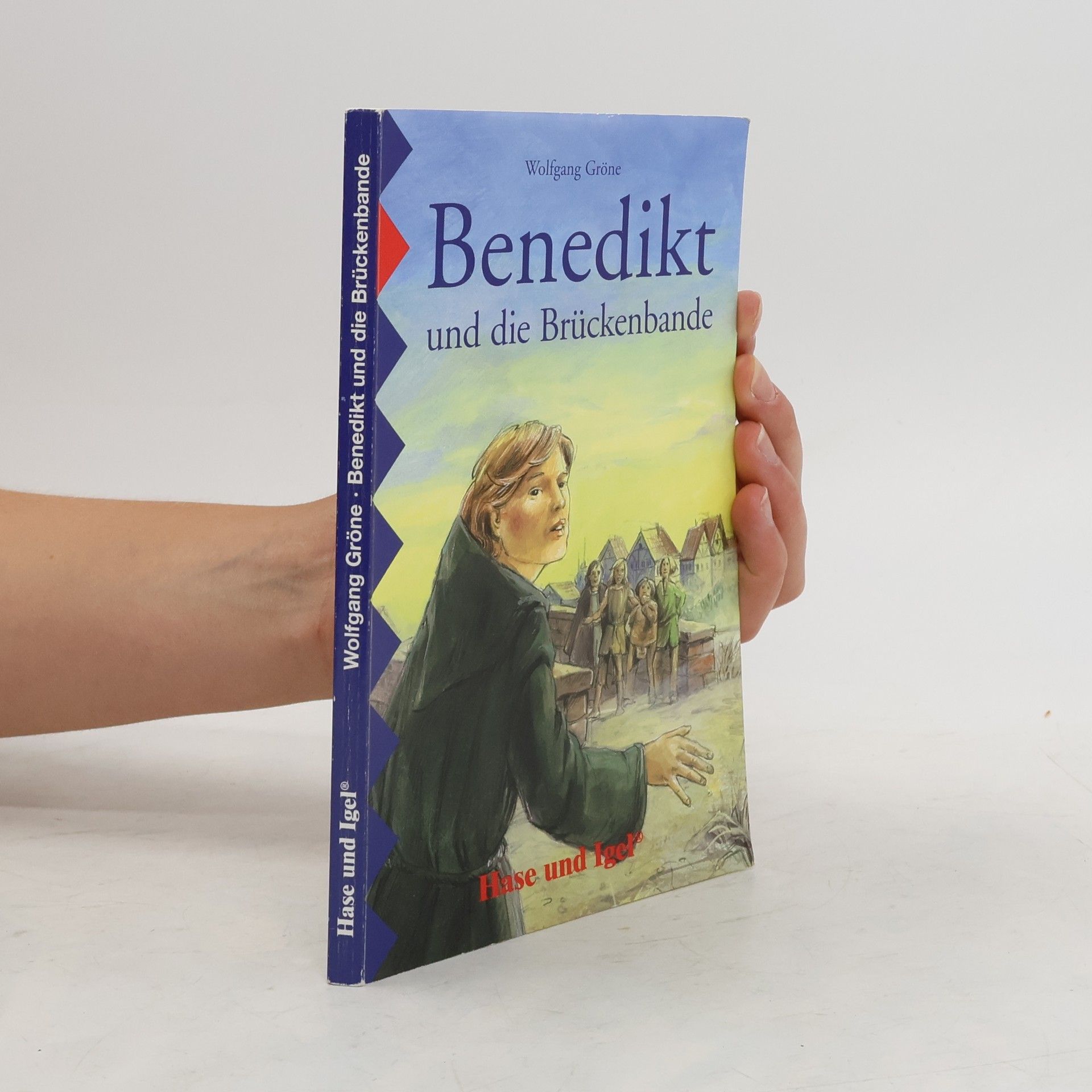 Wolfgang Gröne Benedikt und die Brückenbande, Schulausgabe