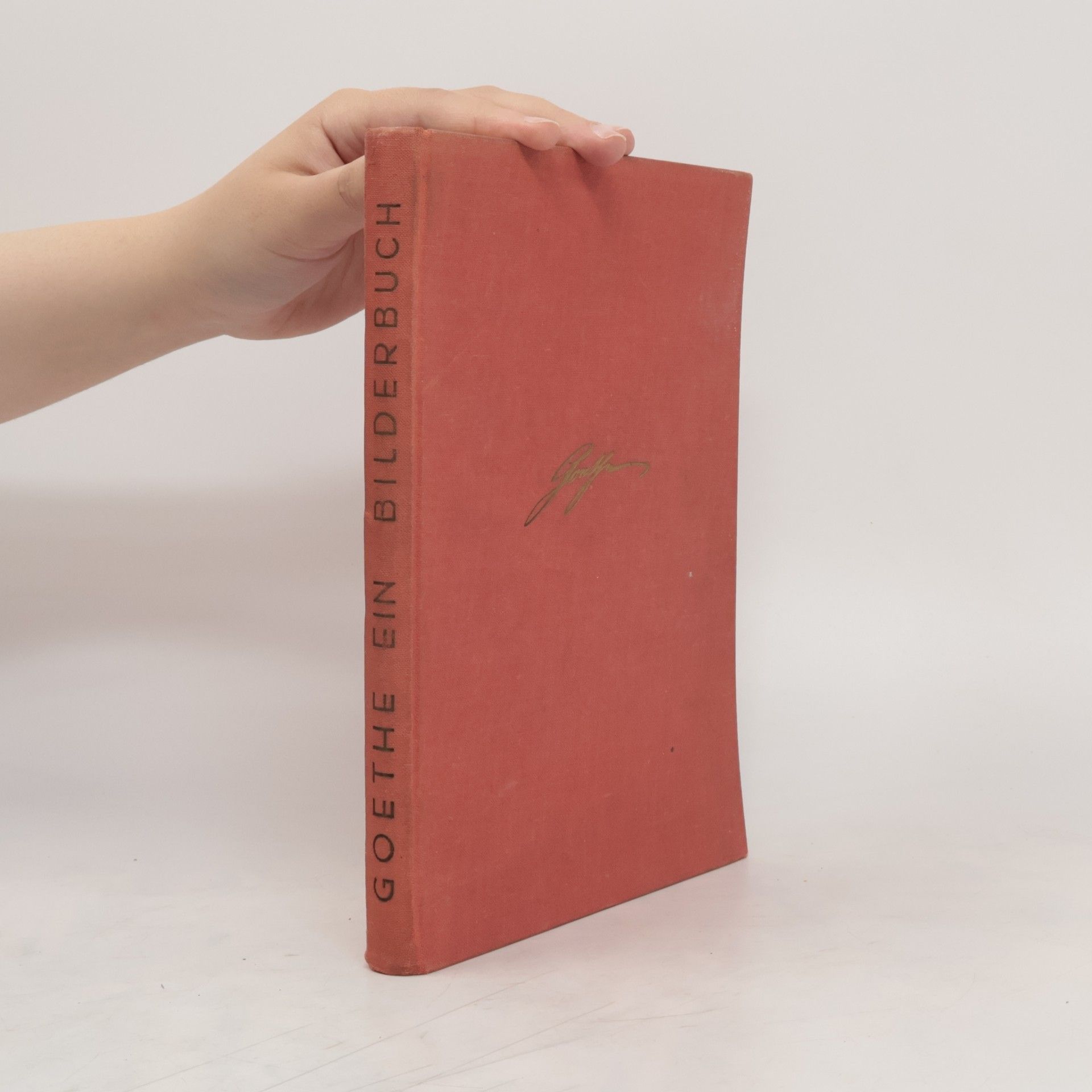 Johann Wolfgang von Goethe Goethe. Ein Bilderbuch. Sein Leben und Schaffen