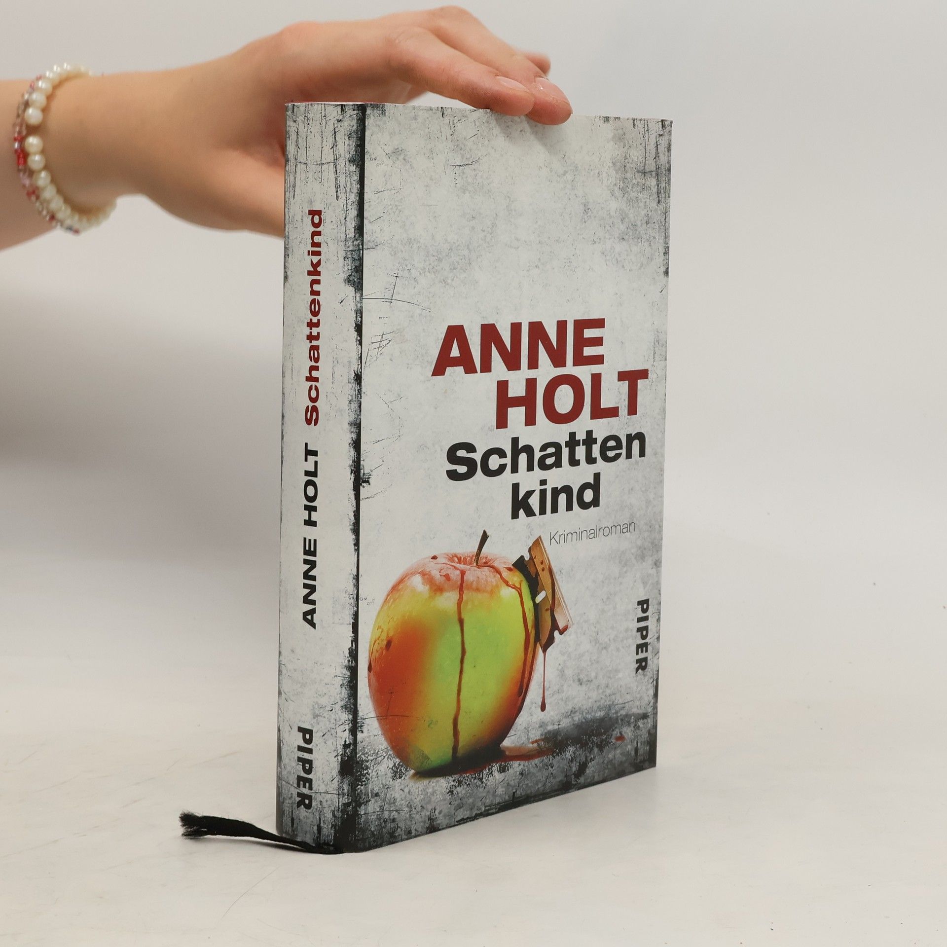 Anne Holt Schattenkind