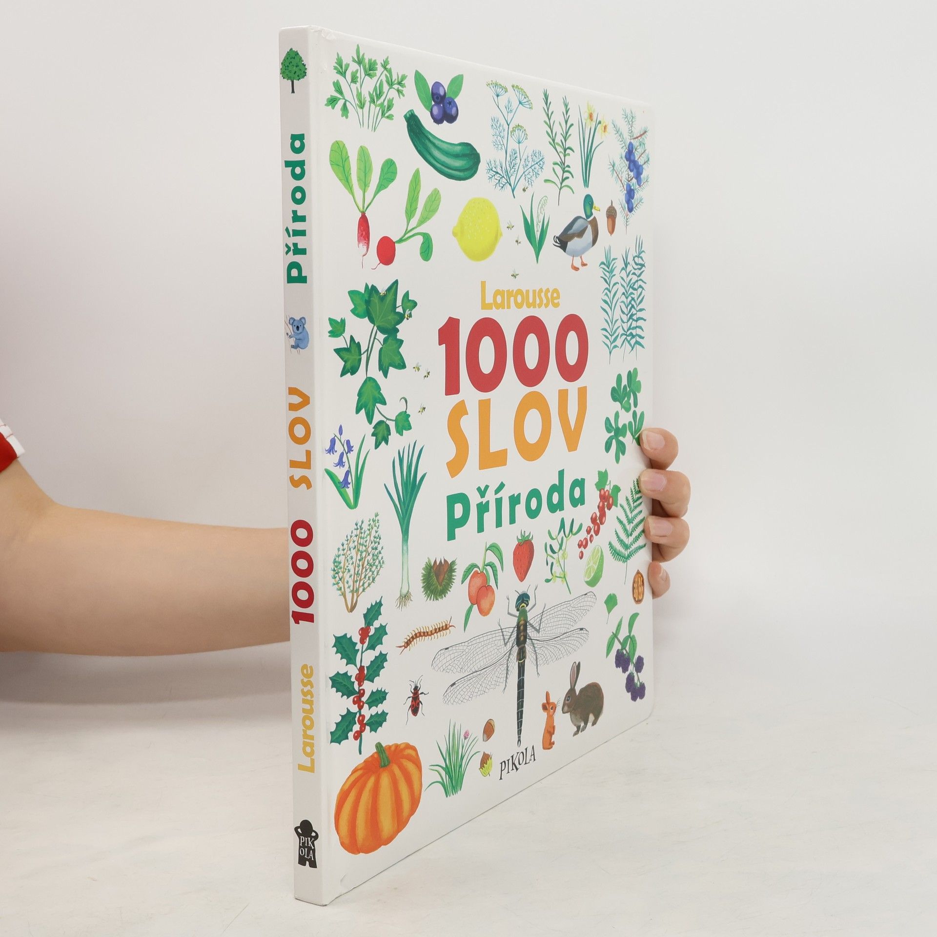 Kateřina Kyslíková 1000 slov : příroda