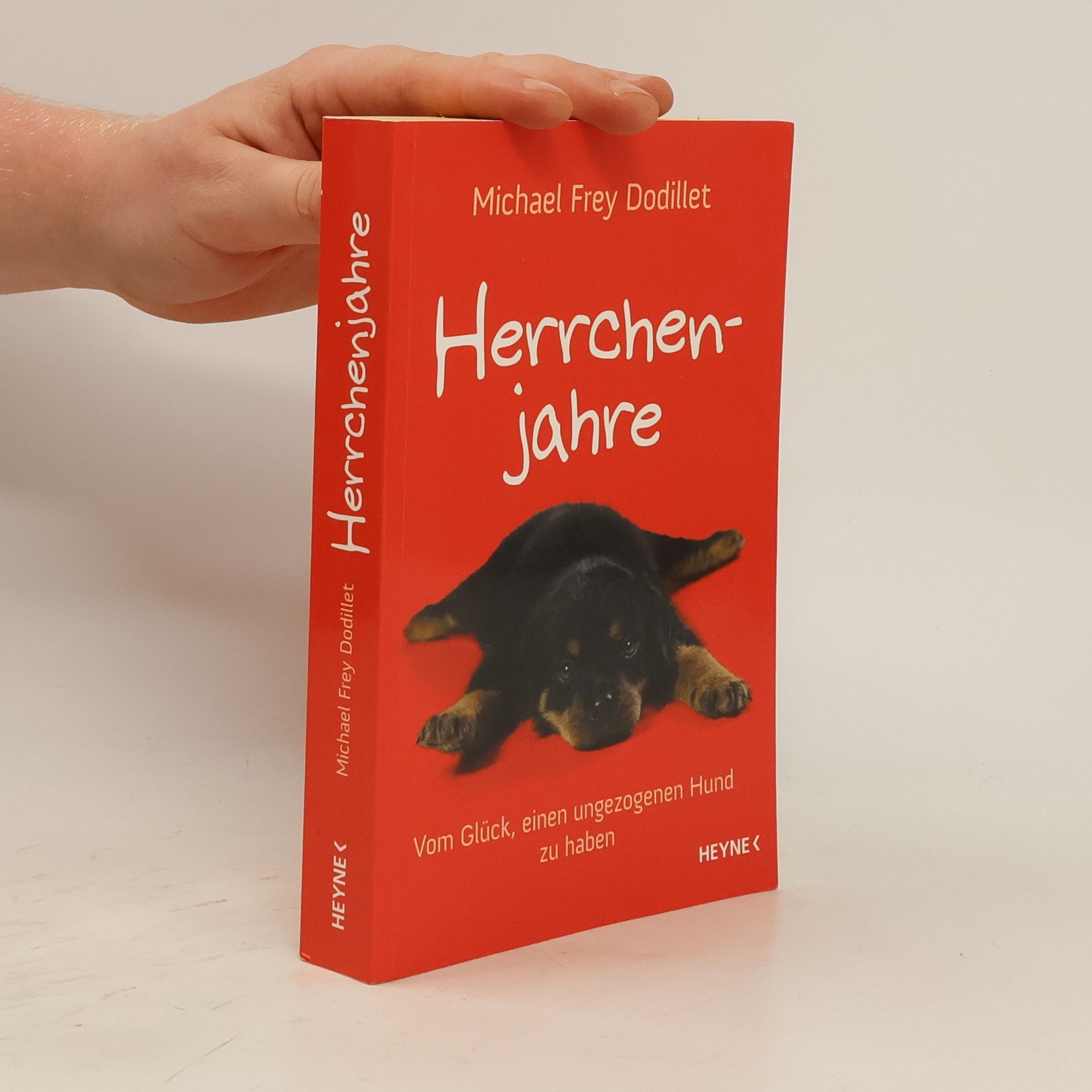 Michael Frey Dodillet Herrchenjahre
