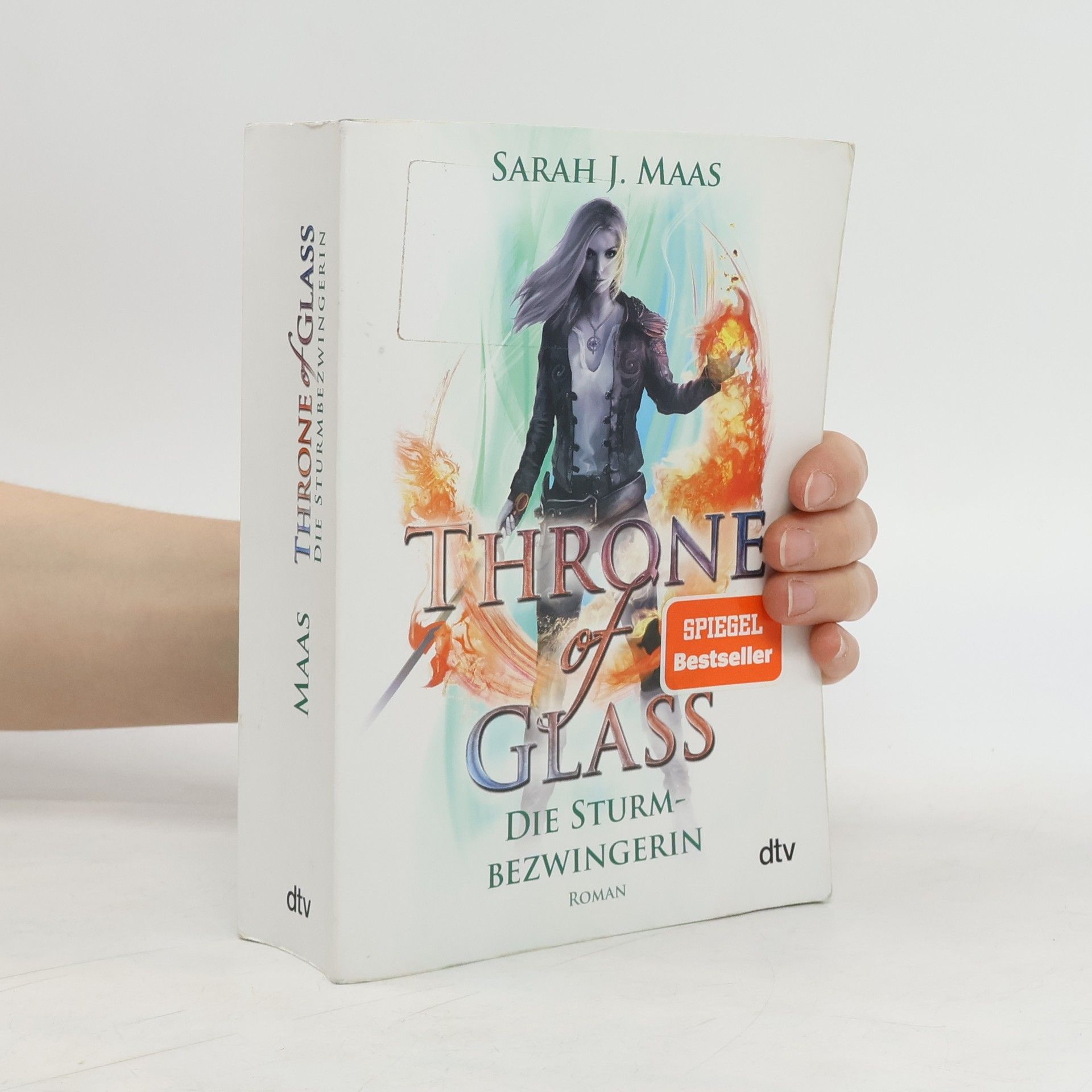 Sarah J. Maas Die Sturmbezwingerin