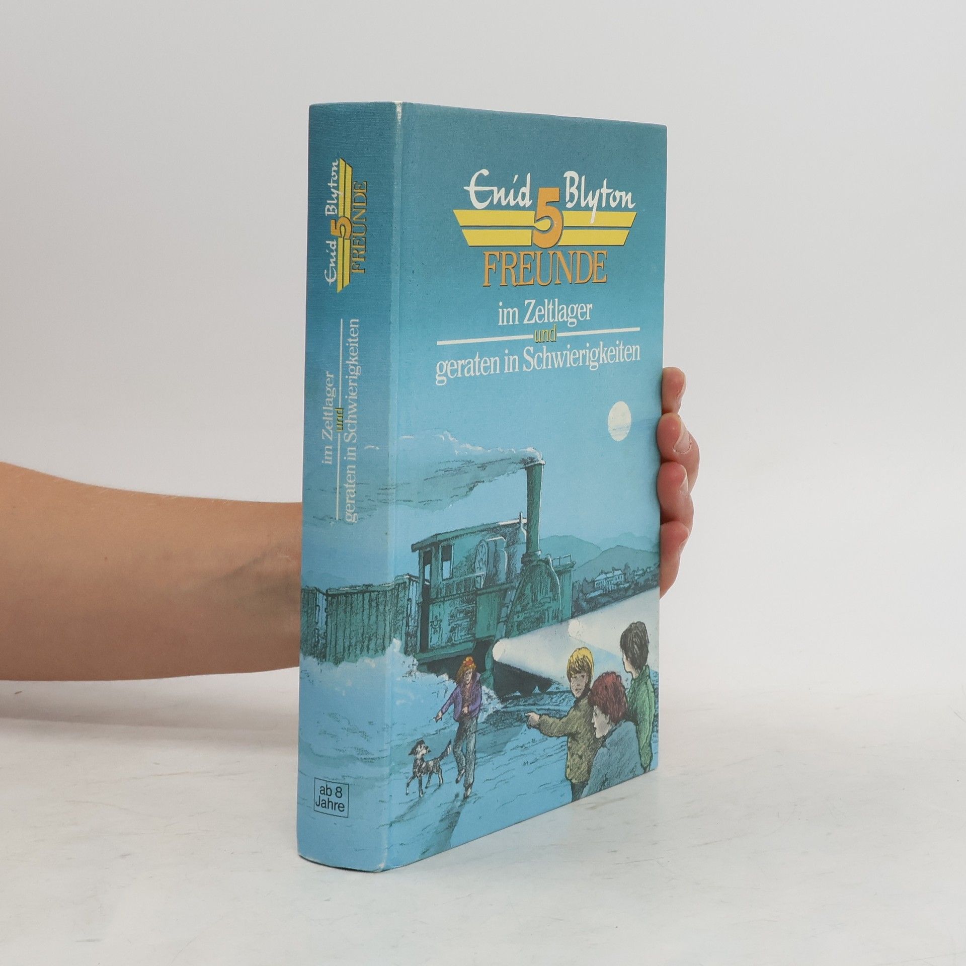 Enid Blyton Freunde 5. Im Zeltlager und geraten in Schwierigkeiten