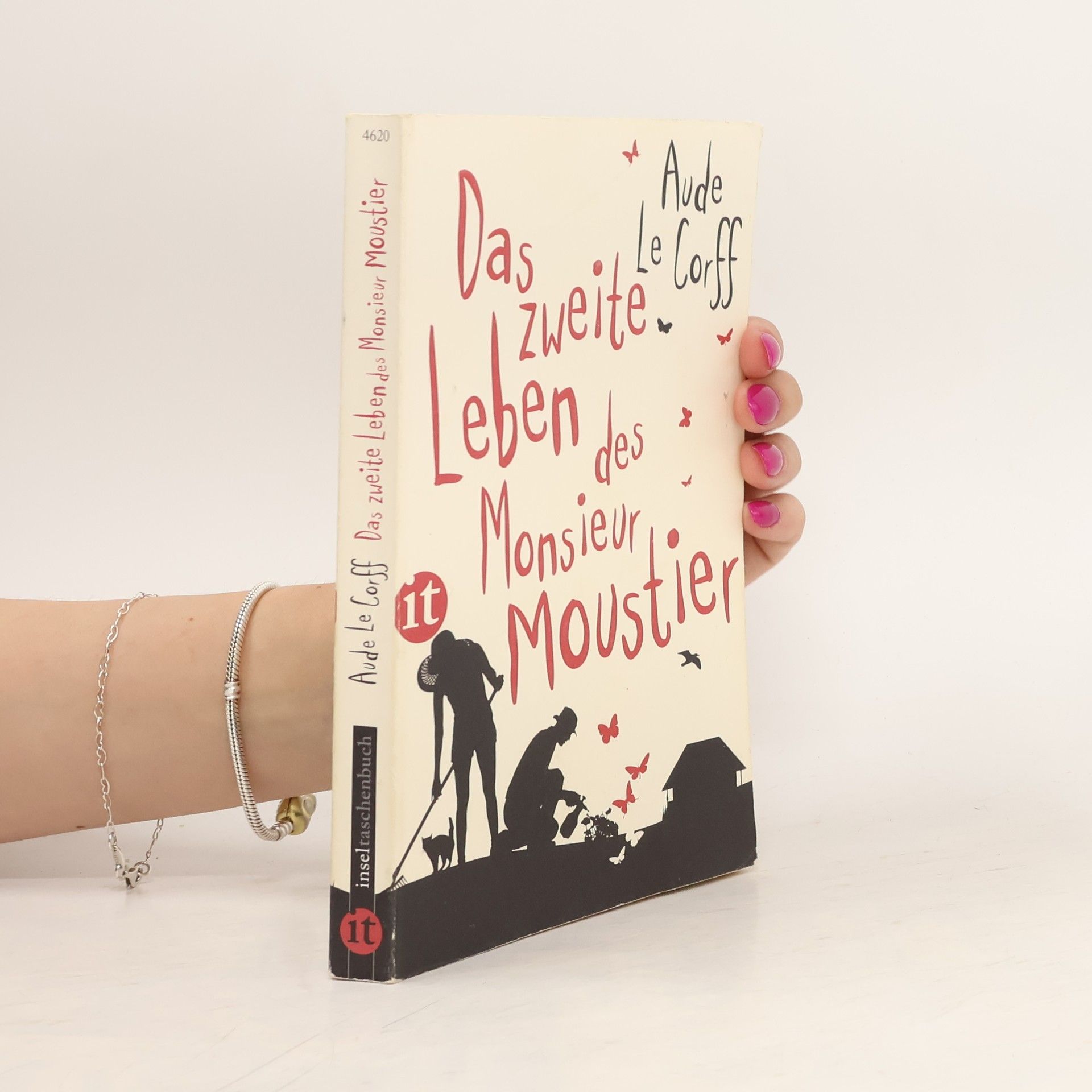Aude Le Corff Das zweite Leben des Monsieur Moustier