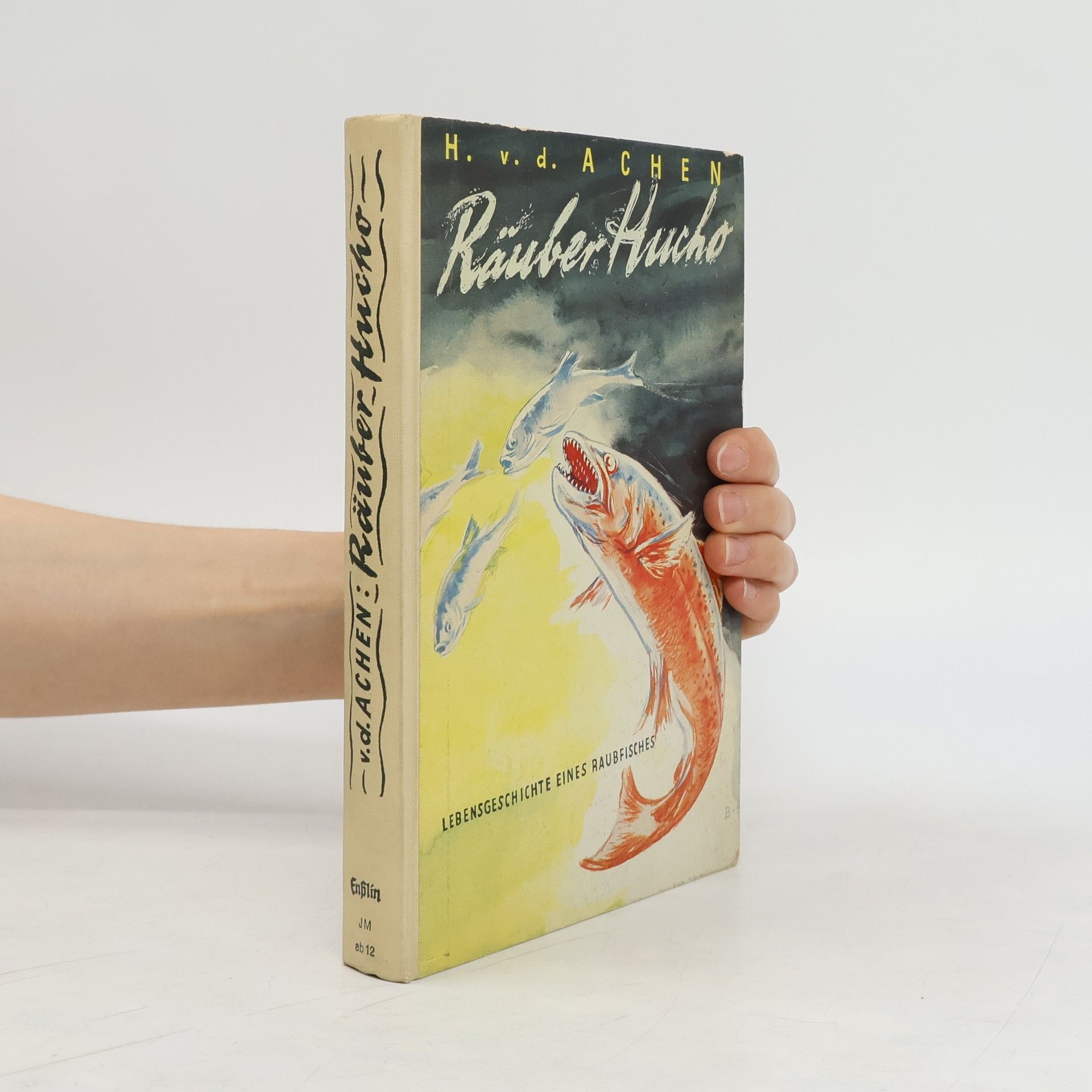 Heinz von der Achen Räuber Hucho