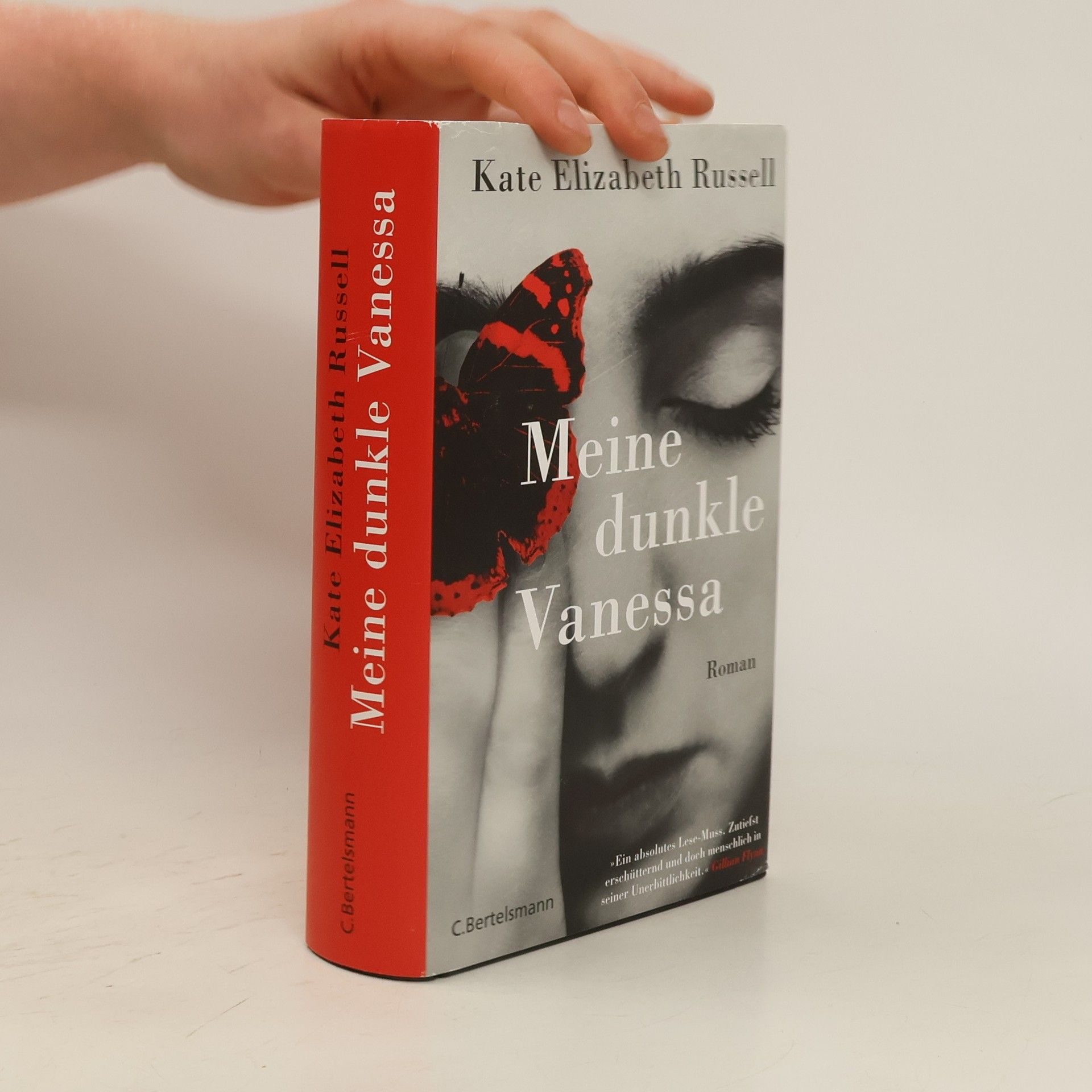 Kate Elizabeth Russell Meine dunkle Vanessa