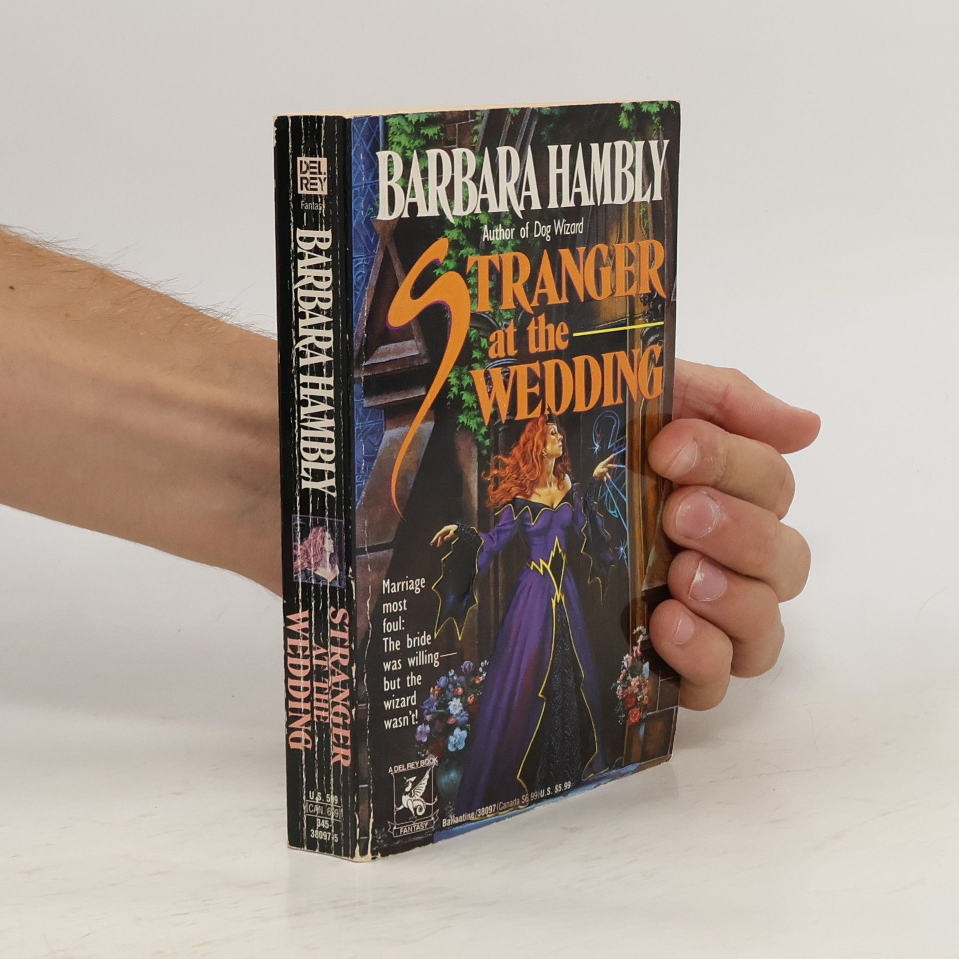Barbara Hambly Stranger at the Wedding