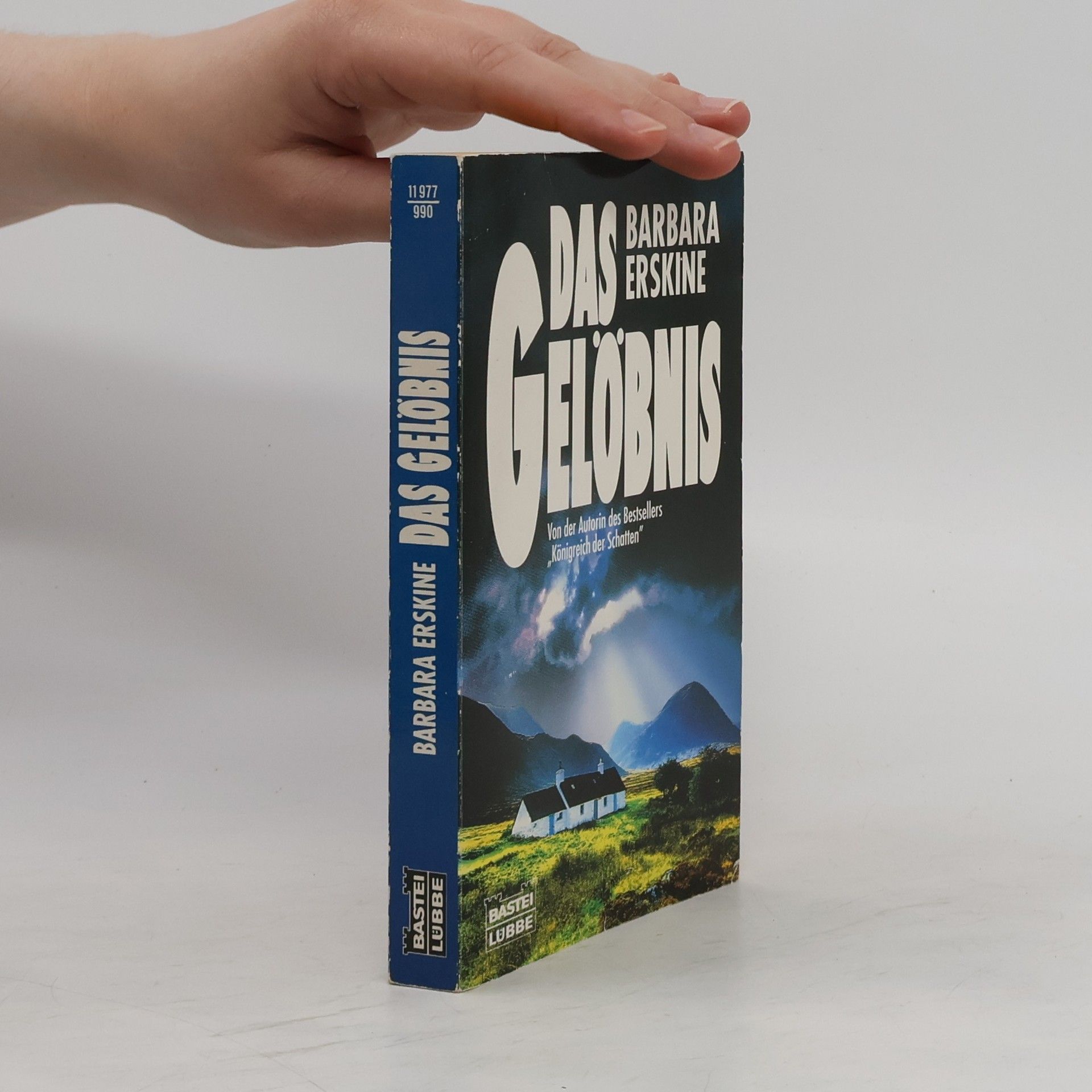 Barbara Erskine Das Gelöbnis