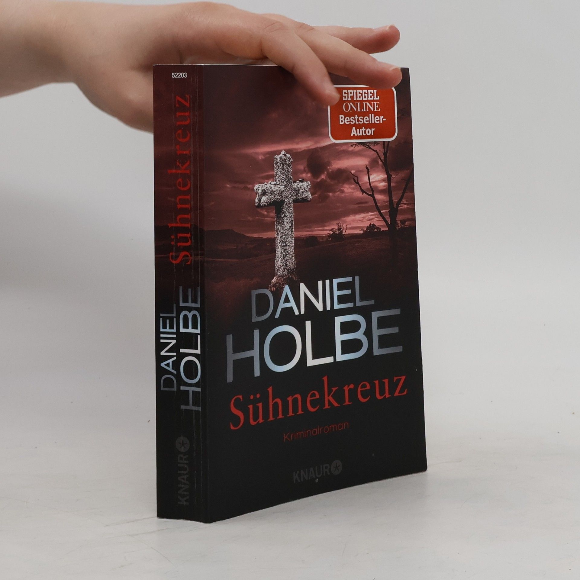 Daniel Holbe Sühnekreuz