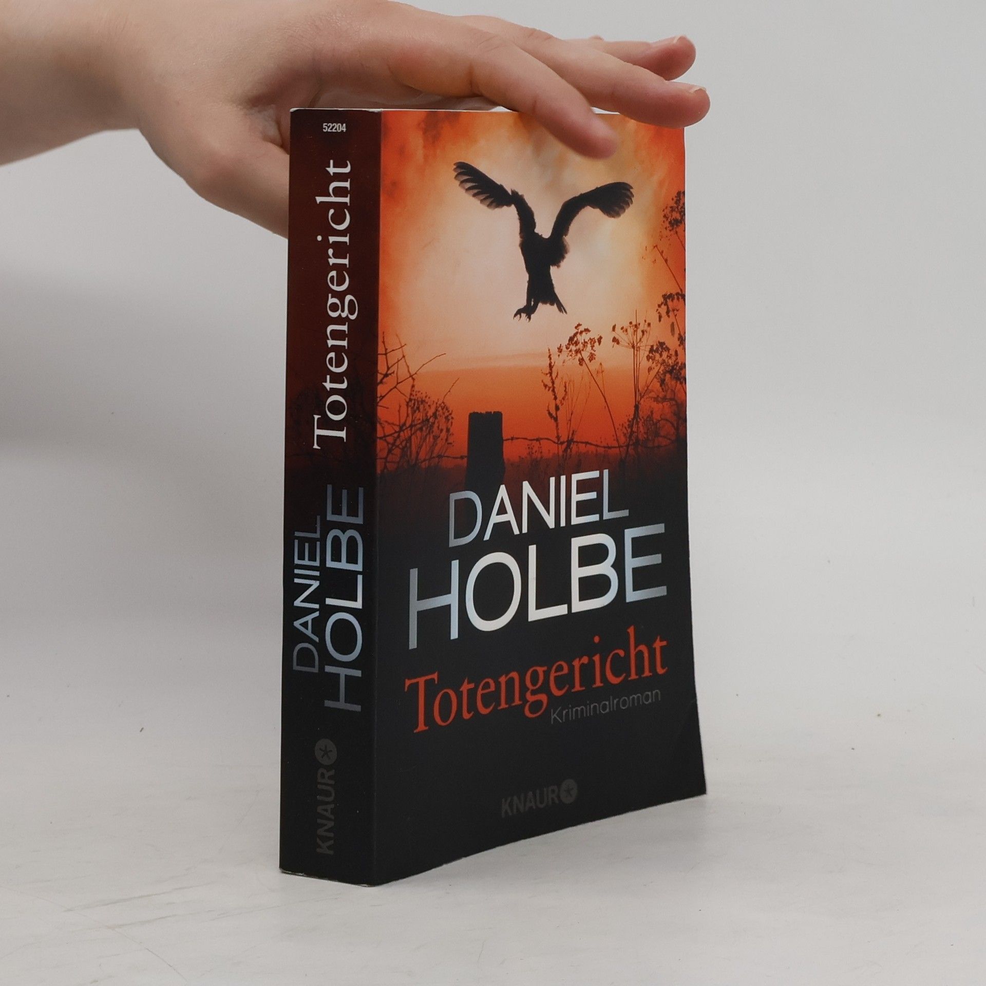 Daniel Holbe Totengericht