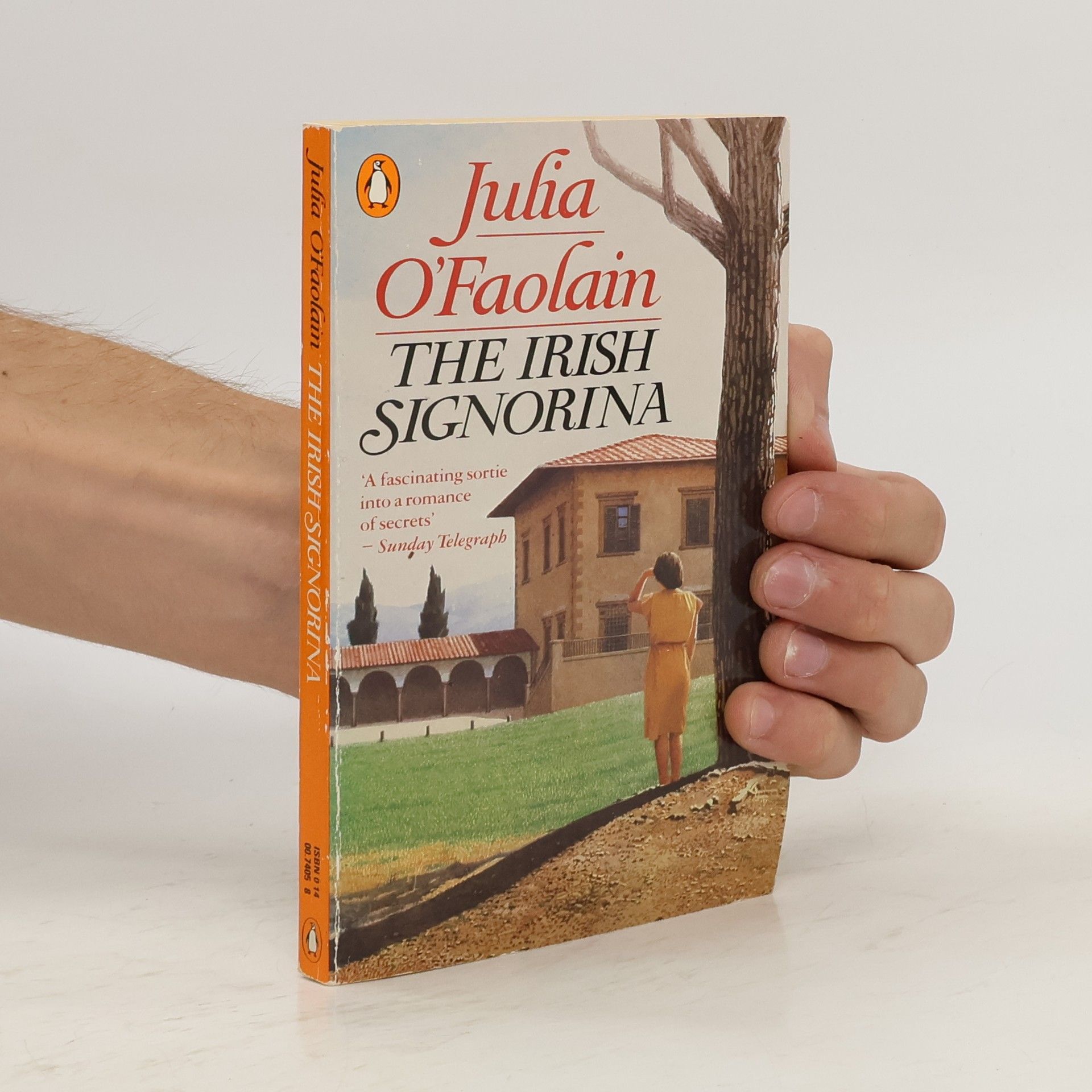 Julia O'Faolain The Irish Signorina