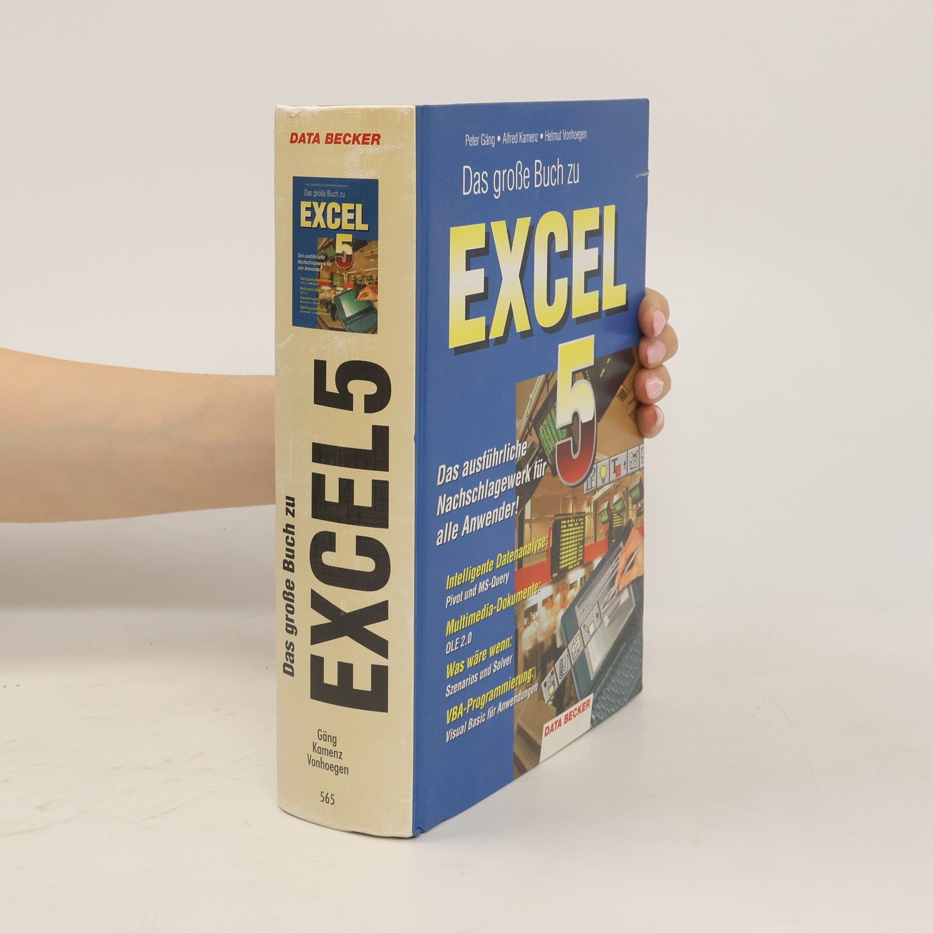 Peter Gäng Das grosse Buch zu Excel 5