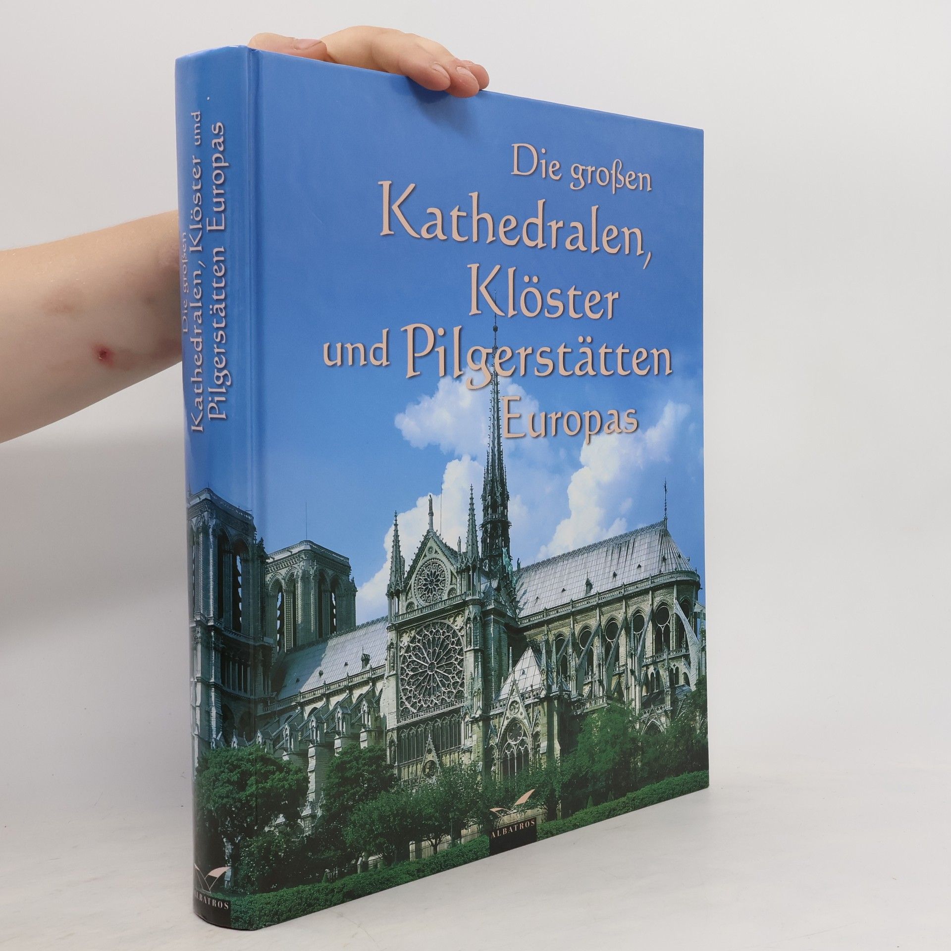 Lothar Altmann Die großen Kathedralen, Klöster und Pilgerstätten Europas