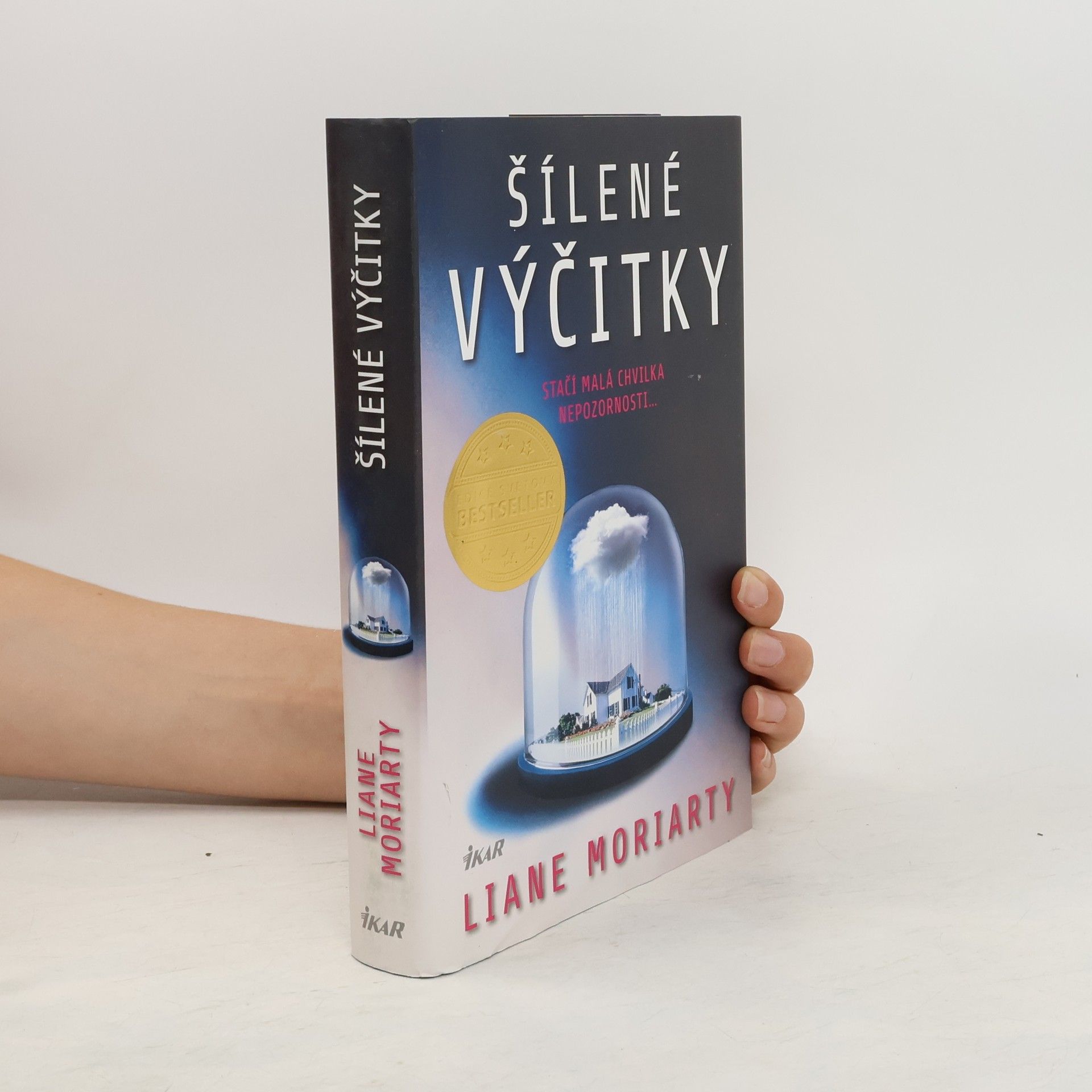 Liane Moriarty Šílené výčitky