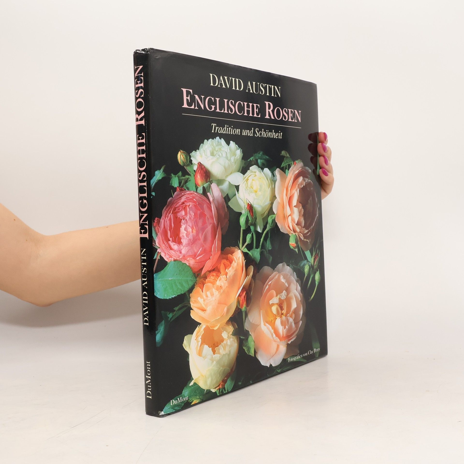David Austin Englische Rosen