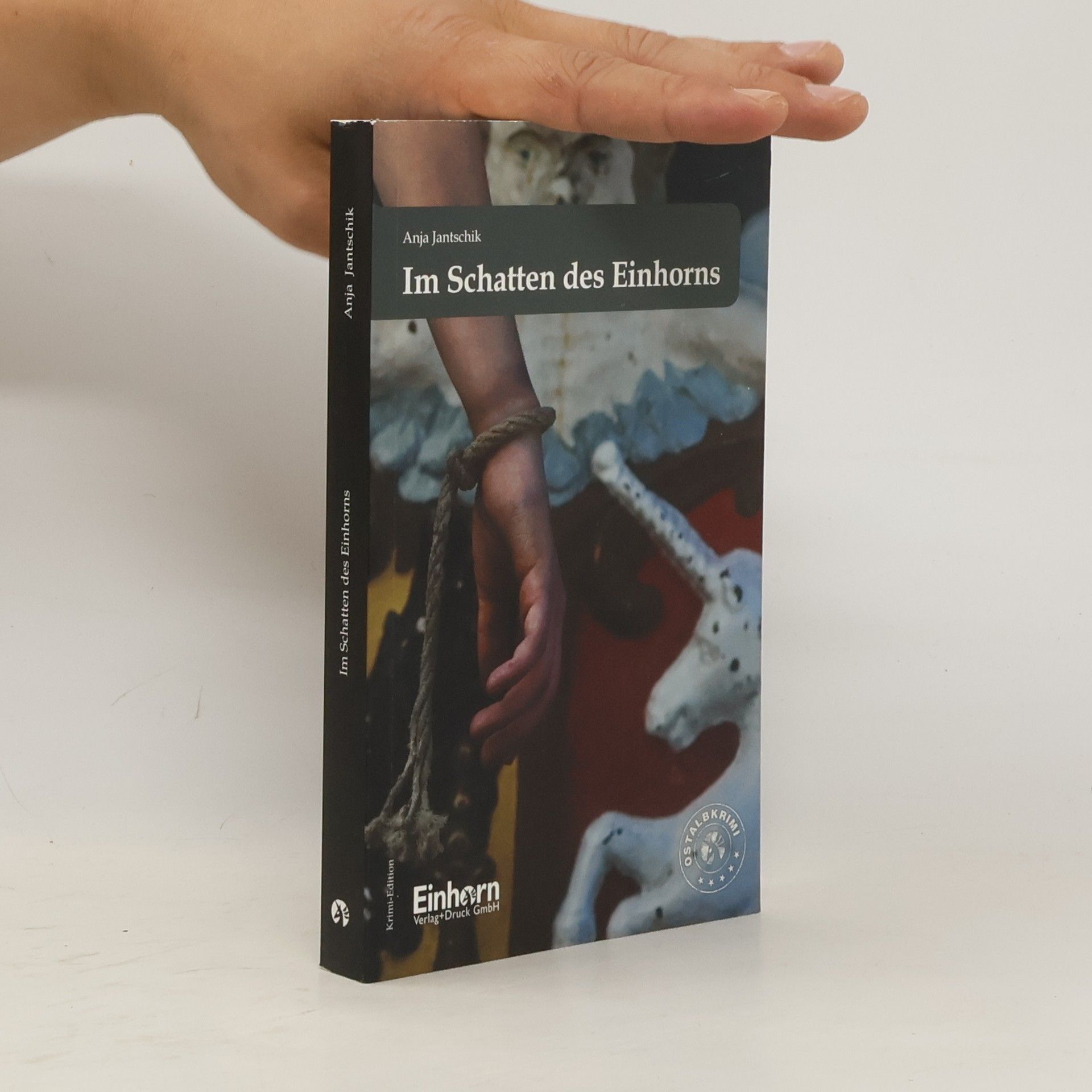 Anja Jantschik Im Schatten des Einhorns