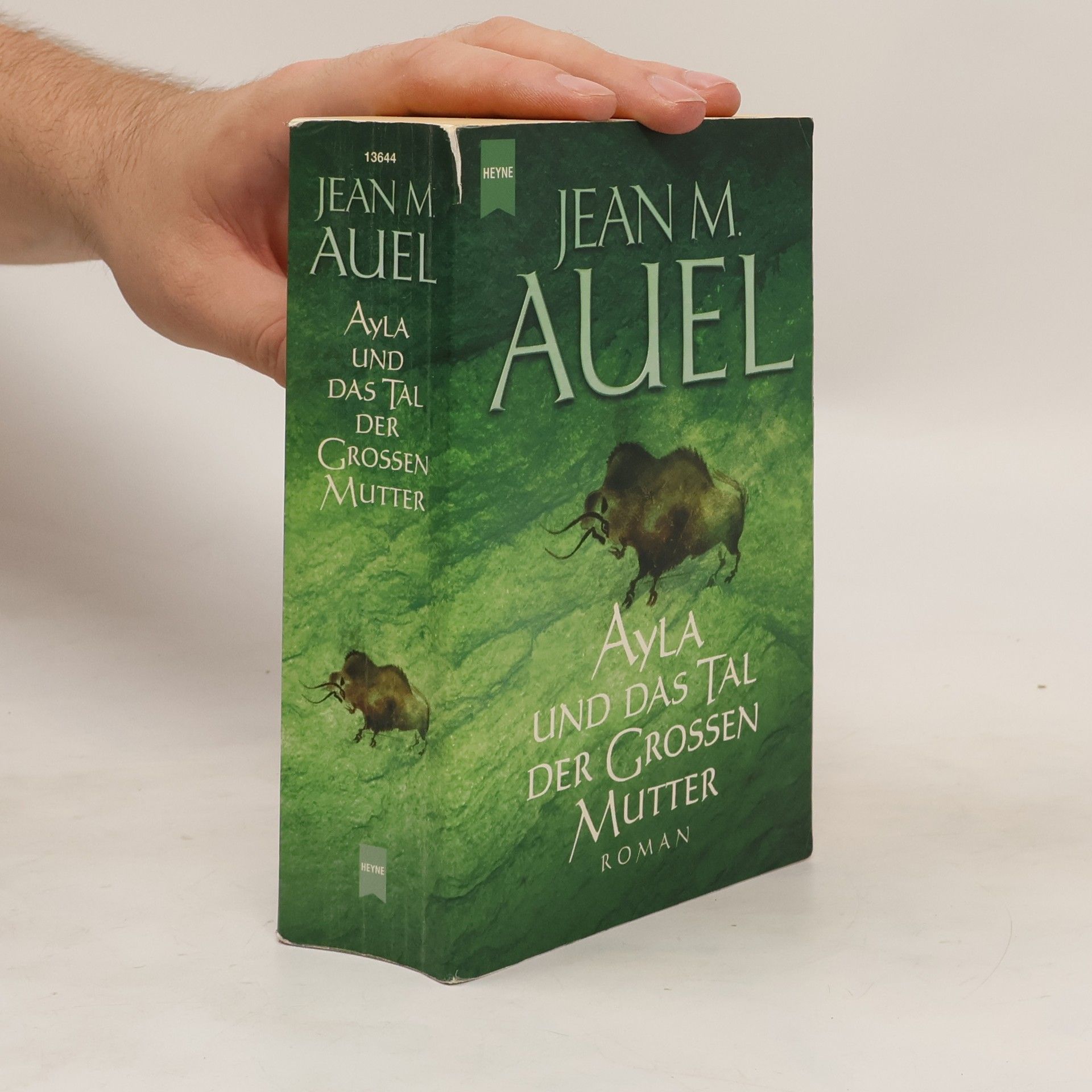 Jean M. Jean Marie Auel Ayla und das Tal der Grossen Mutter