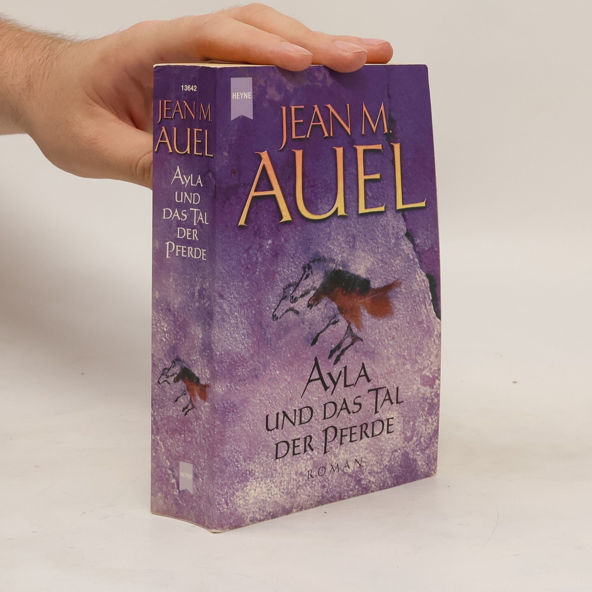 Jean M. Jean Marie Auel Ayla und das Tal der Pferde