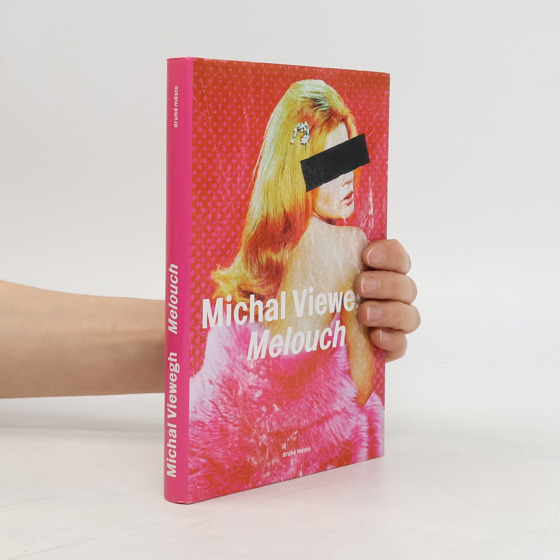 Michal Viewegh Melouch